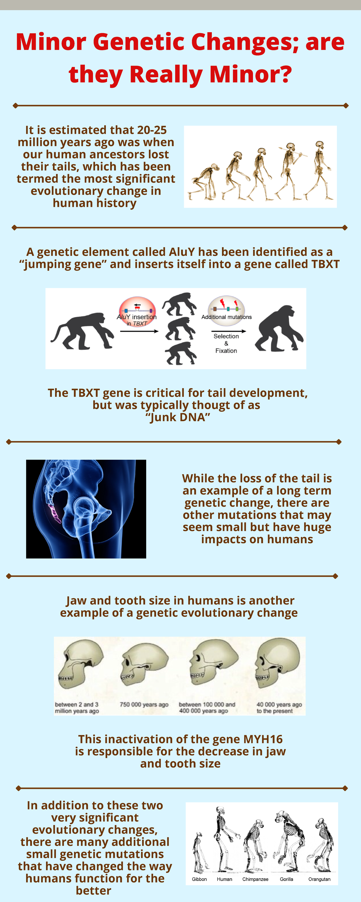 Blue Context Infographic - Minor Genetic Changes; are they Really Minor ...