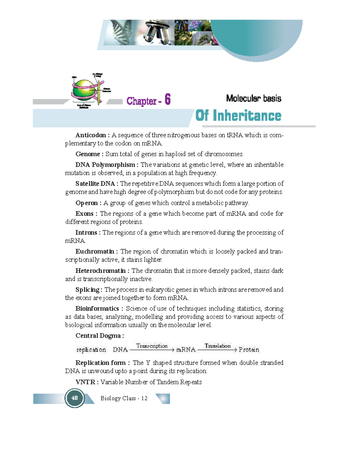 CBSE Class 12 Biology Chap 6- Molecular Basis of Inheritance - Basics