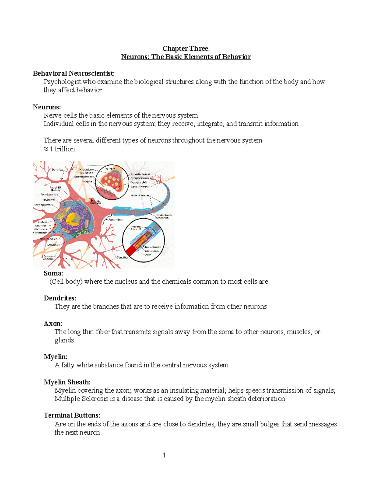 Psyc 101 Chapter 3 - Neurons: The Basic Elements Of Behavior - Chapter ...