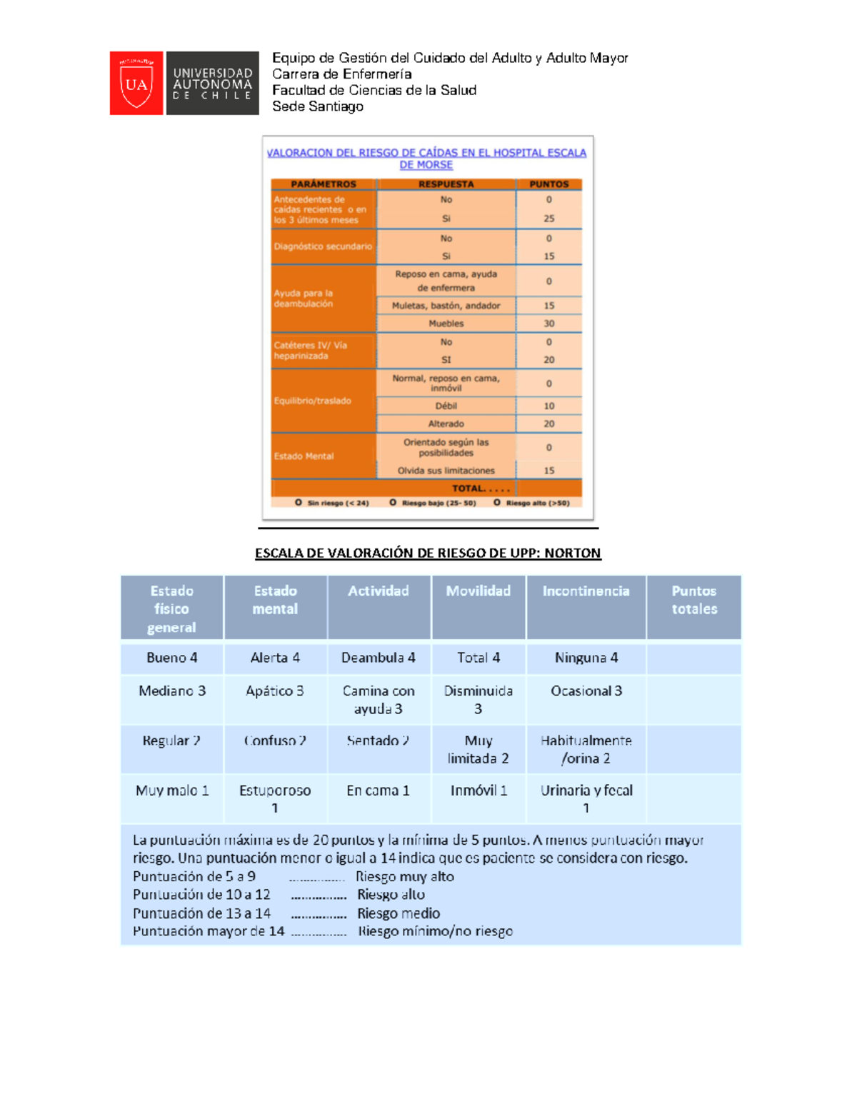 Escalas+de+Valoraci%C3%B3n+de+Riesgo - Carrera de Enfermería Facultad ...