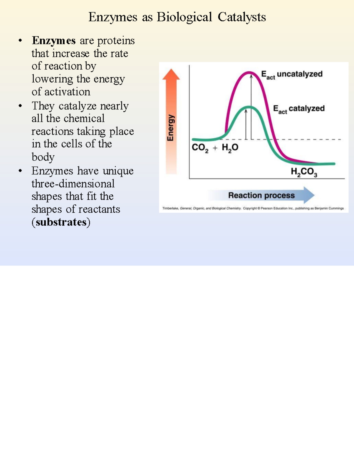 Enzymes ppt (2) (1) 71e1253a2231f224e129f1c88e43d3c9 Enzymes as