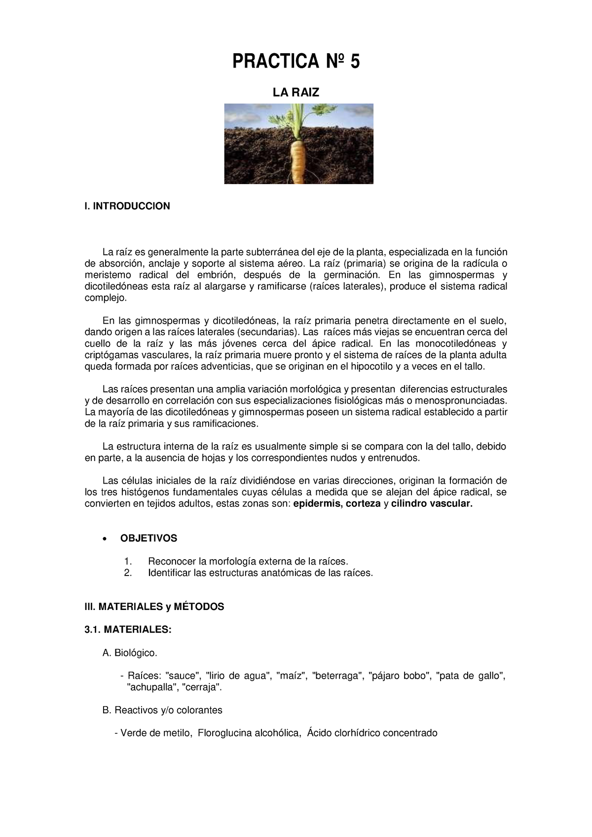 practica-n-5-raiz-informe-raiz-i-introduccion-practica-n-5-la