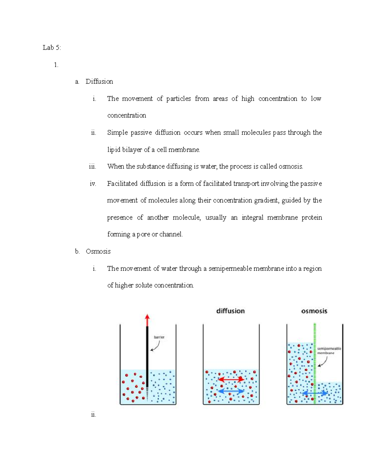 Lab 5 - Anatomy & Physiology I Lab Lab 5, 6, & 7 about Diffusion ...