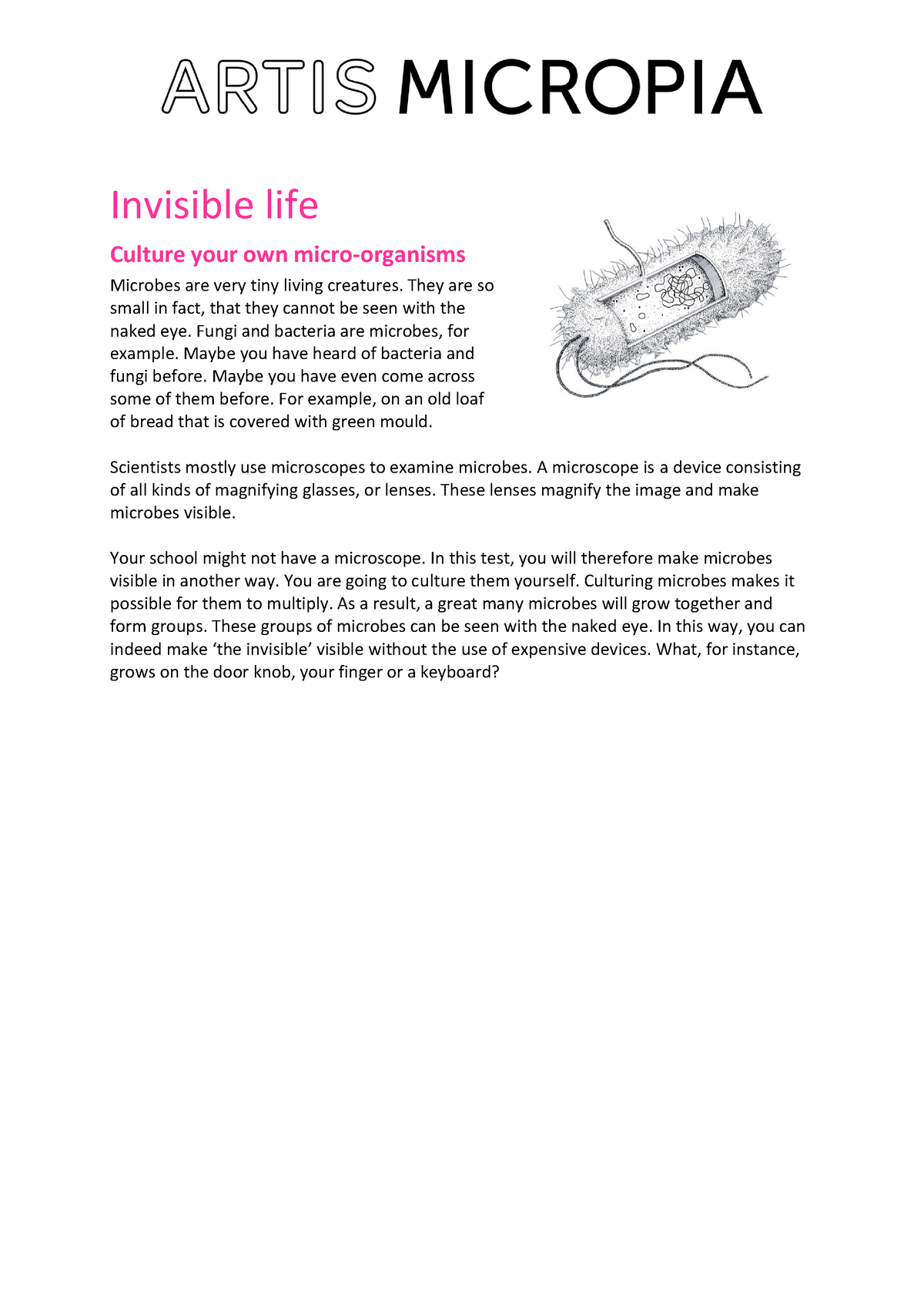 Microbiology And Parasitology Culture Bacteria - BS Nursing - UCU - Studocu