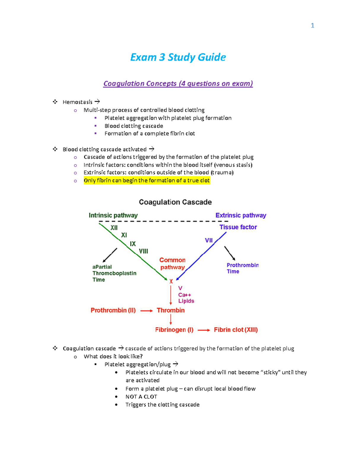 Exam 3 Study Guide Exam 3 Study Guide Coagulation Concepts (4 questions on exam) Hemostasis →