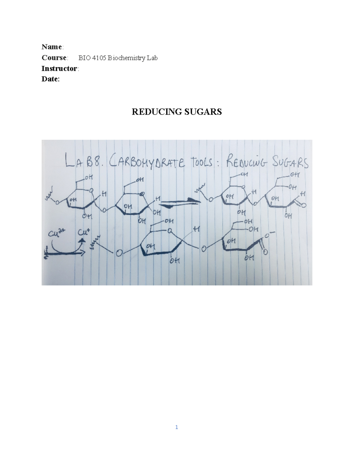 Reducing sugars Lab Reports Name Course BIO 4105 Biochemistry