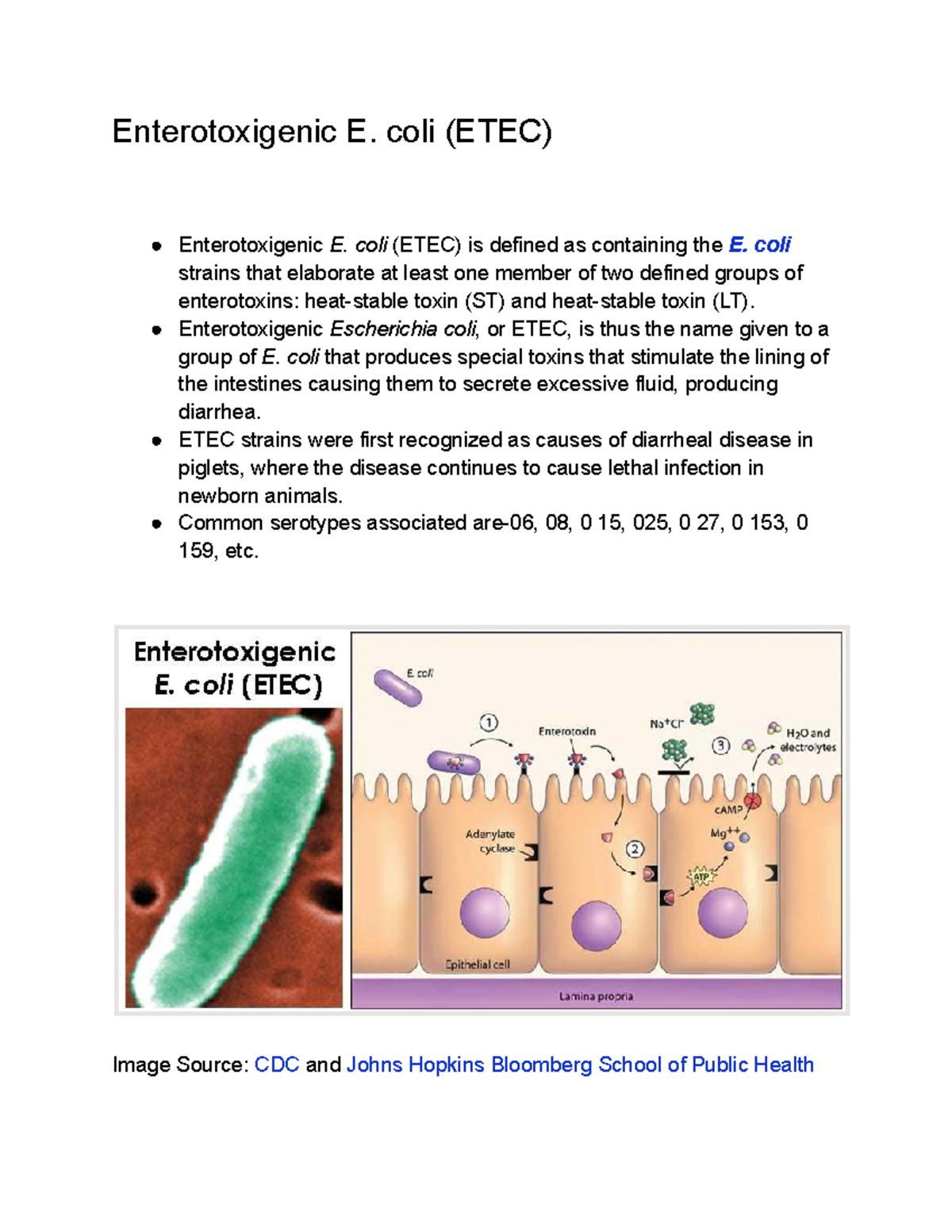 Enterotoxigenic E - coli (ETEC) Enterotoxigenic E. coli (ETEC) is ...