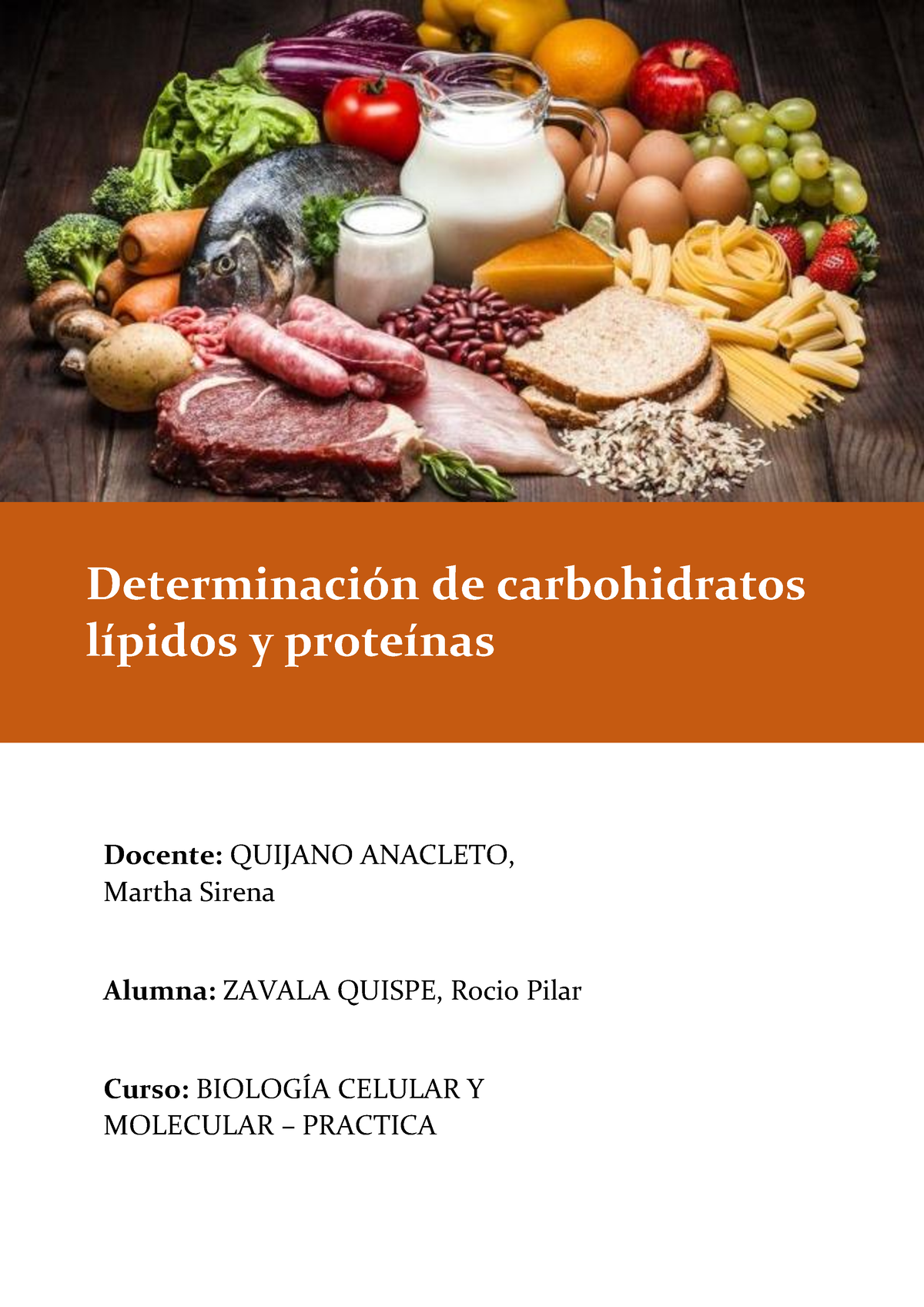 Determinacion De Carbohidratos Lipidos Y Proteinas Docente Quijano Anacleto Martha Sirena 8764