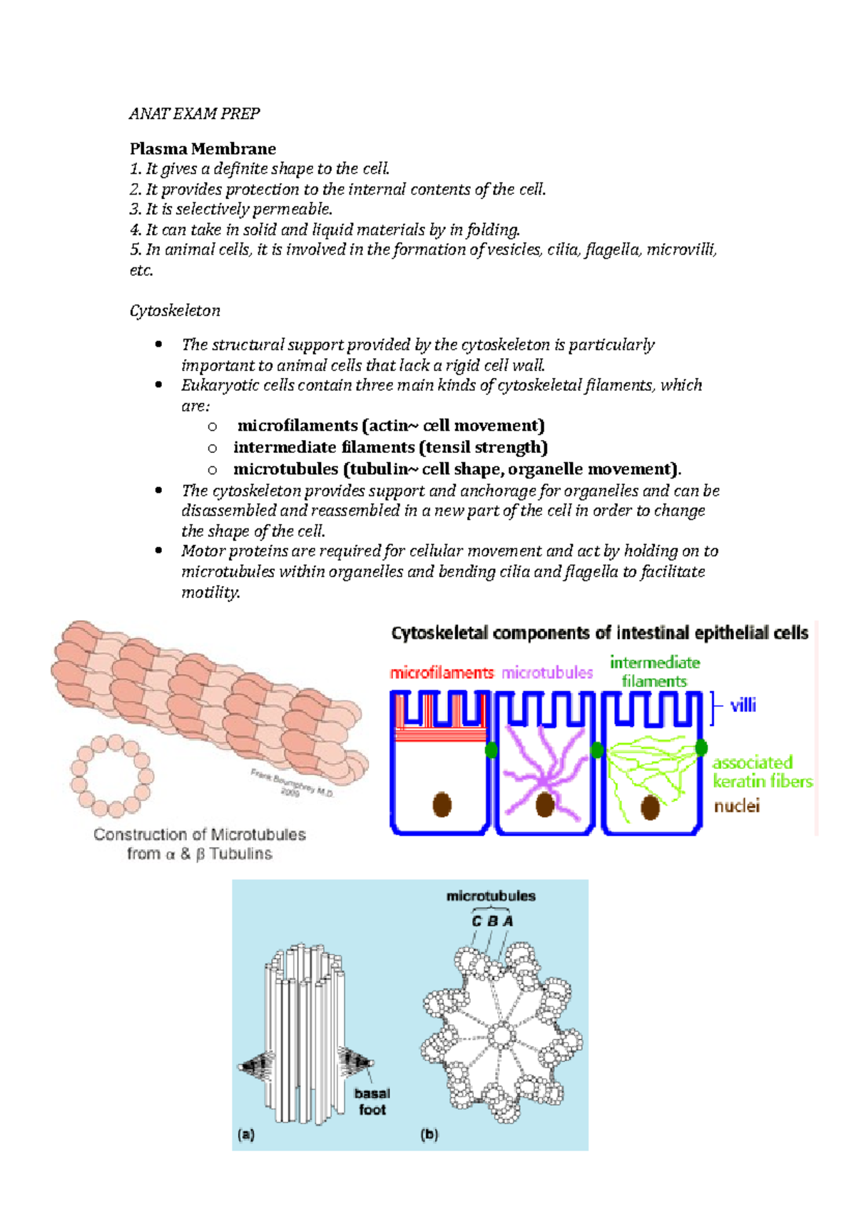 Lecture notes - exam preparation ANAT EXAM PREP Plasma Membrane It