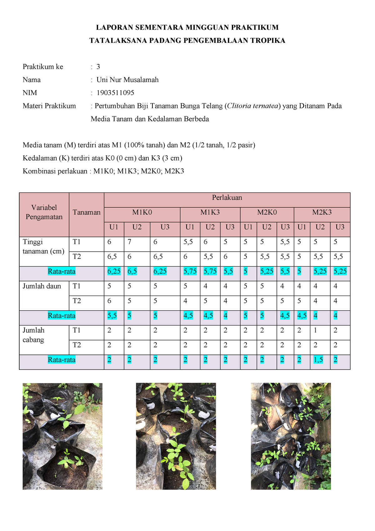 1903511095 Uni Nur Musalamah Kelas B Laporan Praktikum Sementara Minggu ...