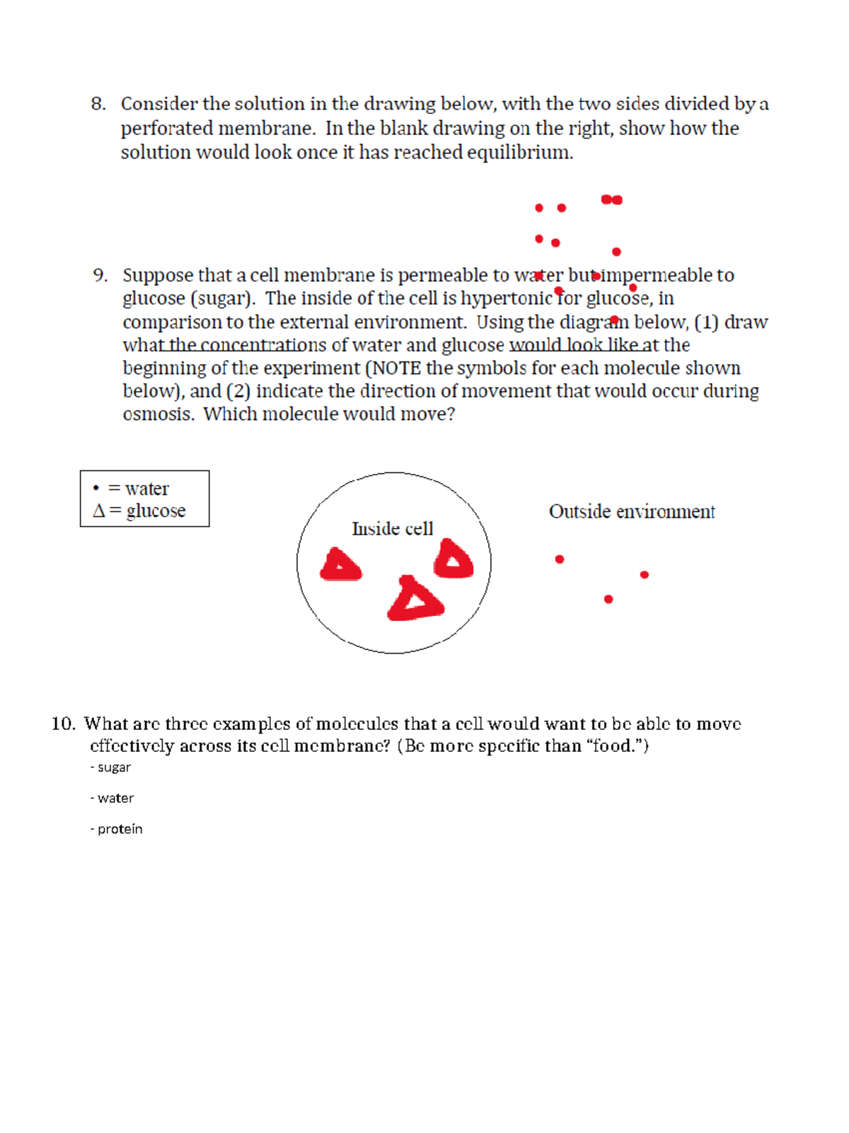 2 - Diffusion Osmosis Worksheet - 10. What are three examples of