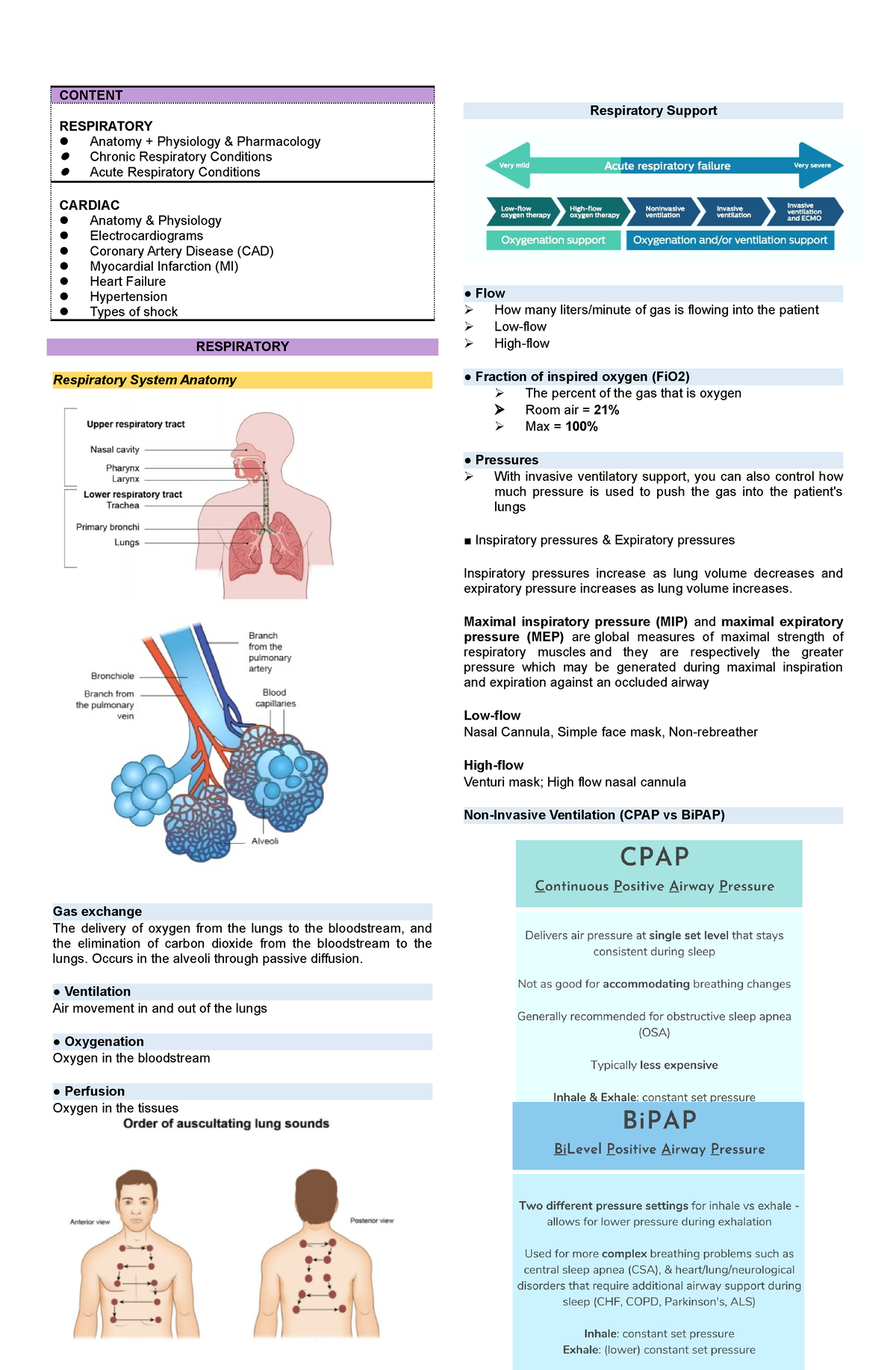 Respiratory AND Cardiac Reviewer - CONTENT RESPIRATORY Anatomy ...