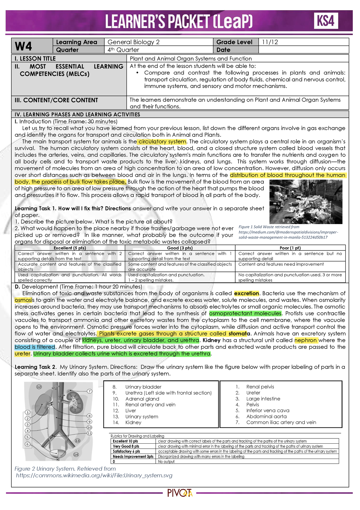 Bioreviewer 2 - Biology - BS Psychology - Studocu