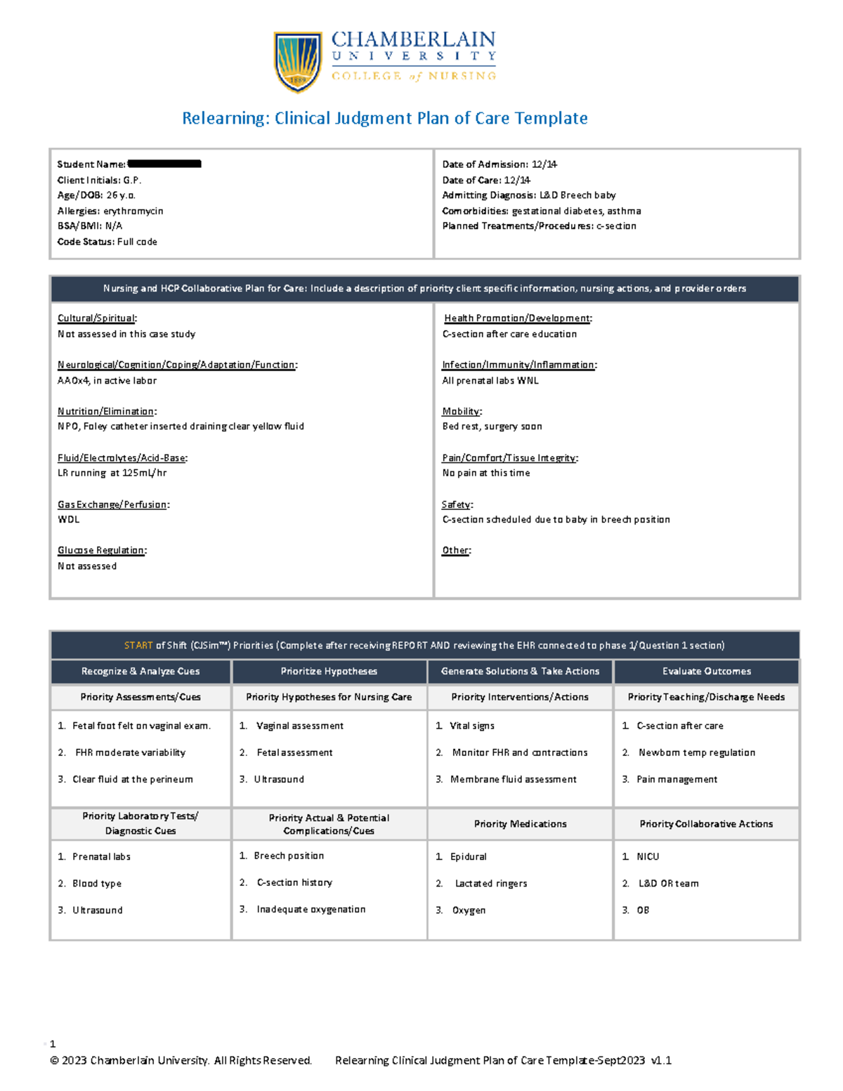 G.P. Plan of Care care plan Relearning Clinical Judgment Plan of