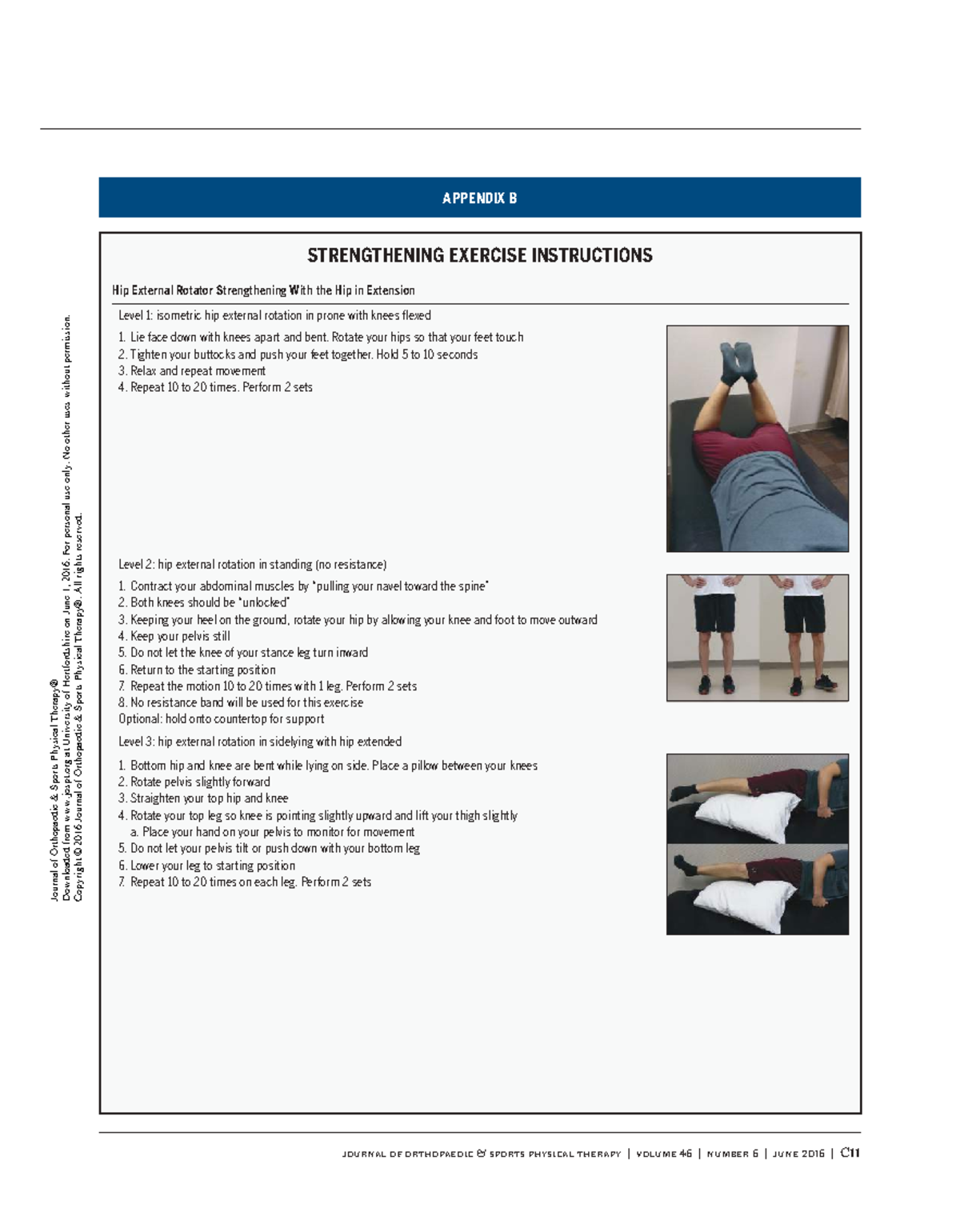 Jospt - Hip Strengthening Exs - Journal Of Orthopaedic & Sports 