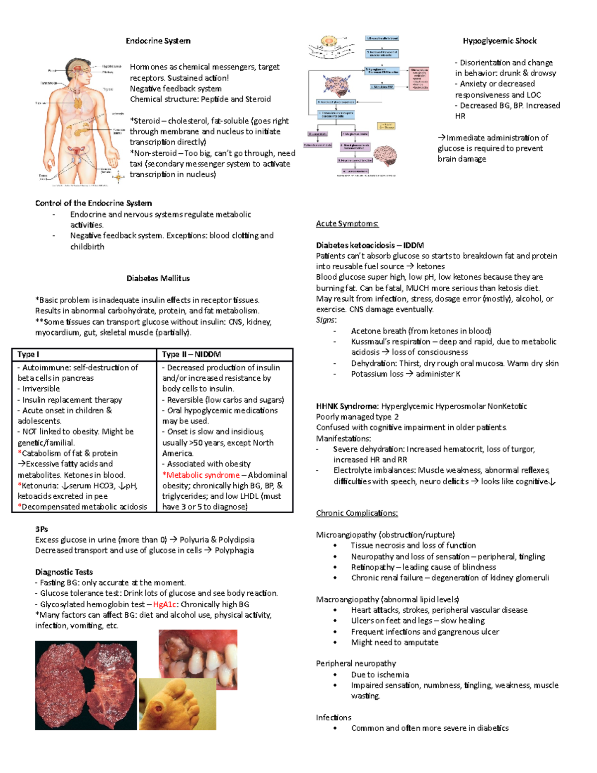 Diabetes Mellitus - Endocrine System Hypoglycemic Shock ...