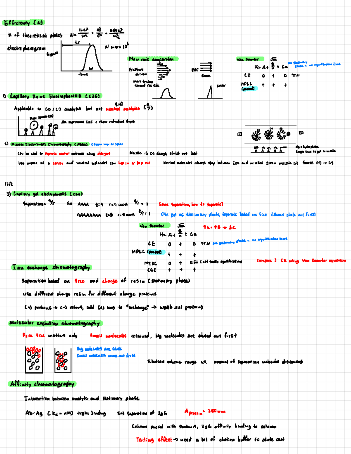 Achem 19 - Efficiency, capillary zone electrophoresis, capillary gel ...