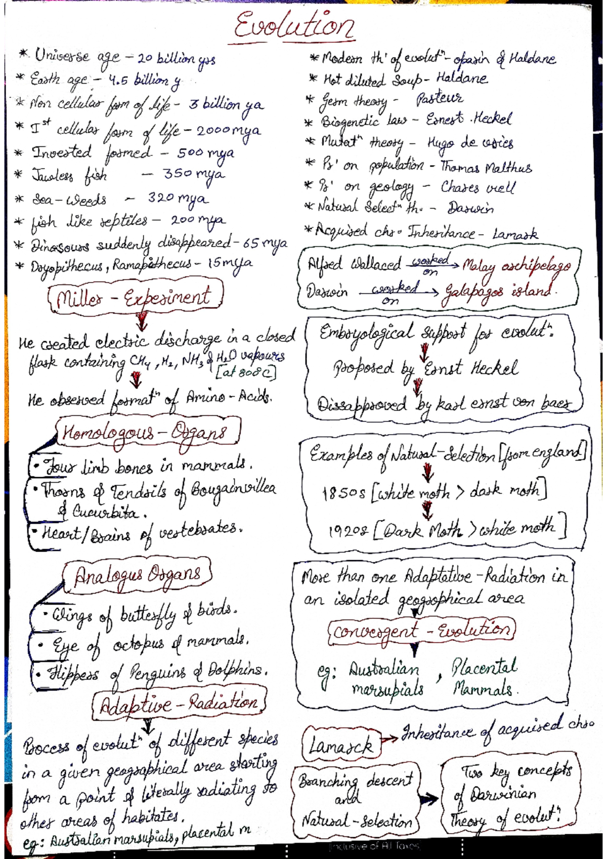 Evolution - class notes - Evolution Universe age 20 billion yrs Modern ...
