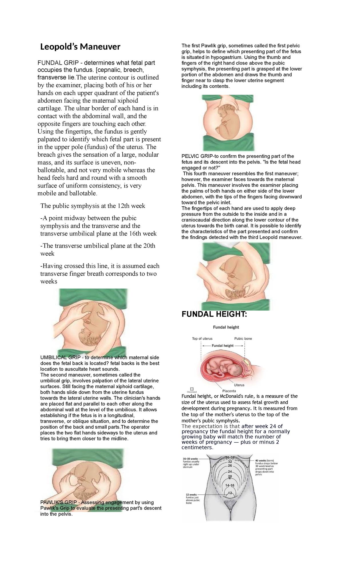 fundal-notes-leopold-s-maneuver-fundal-grip-determines-what-fetal