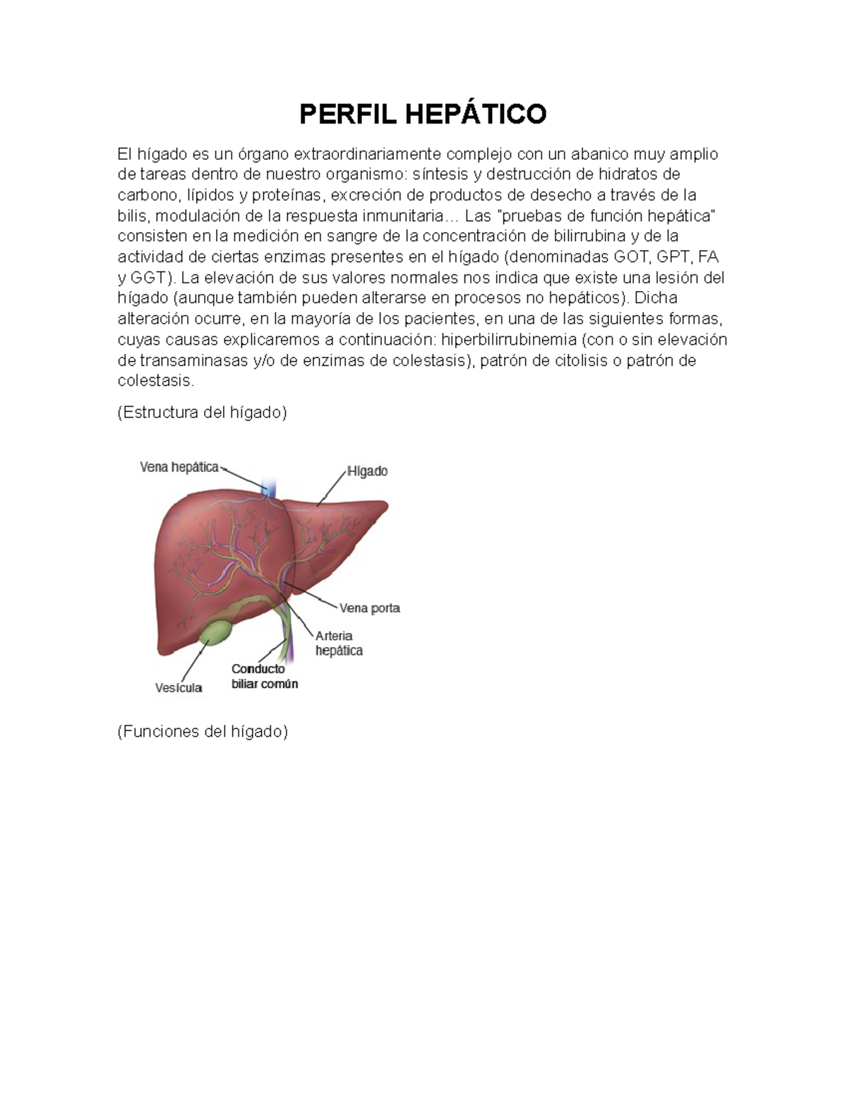 Perfil Hepático PERFIL HEPÁTICO El hígado es un órgano