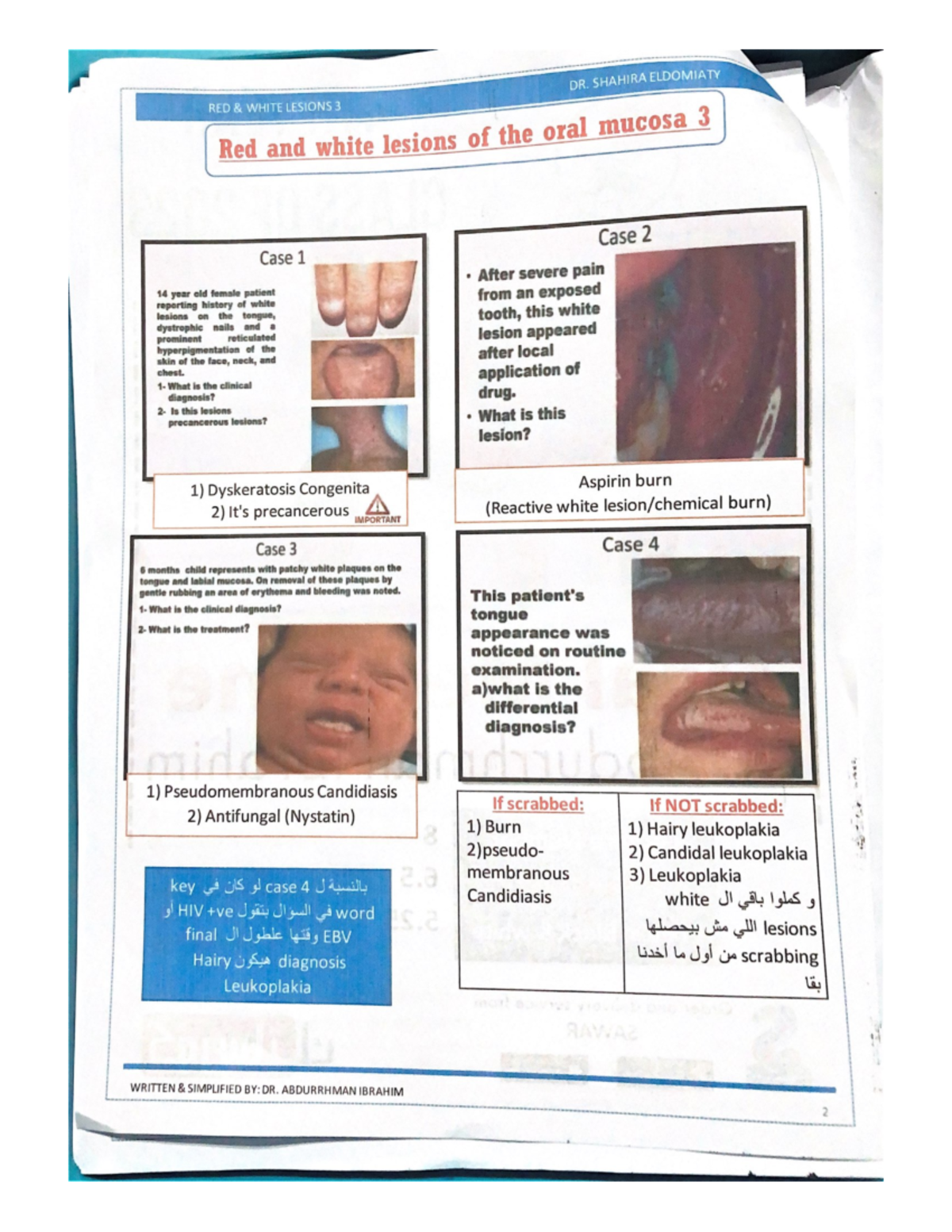 Scanned Documents - dental anatomy - Studocu