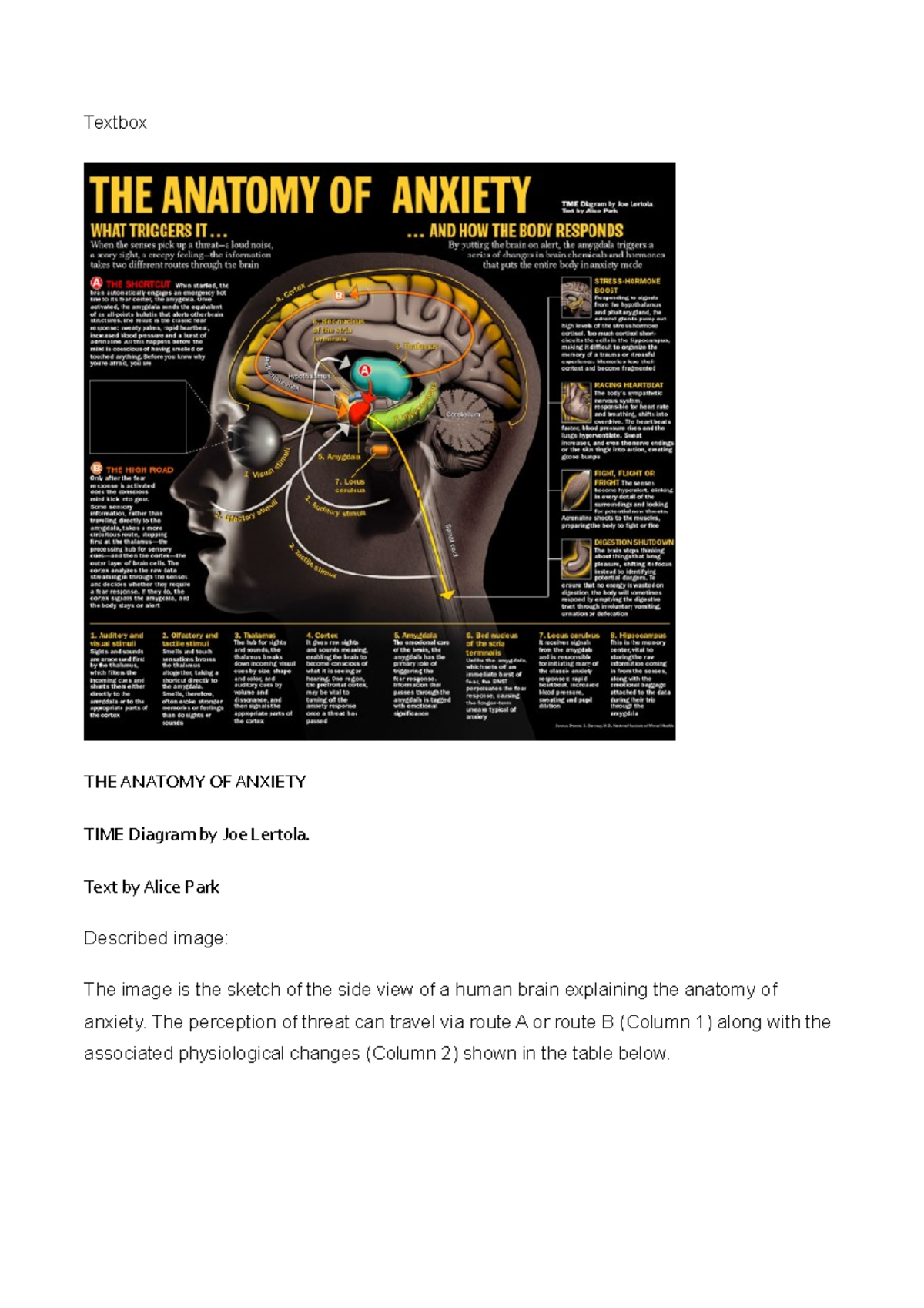 Anatomy of anxiety - described image ANXIETY AND ITS DISORDERS ...