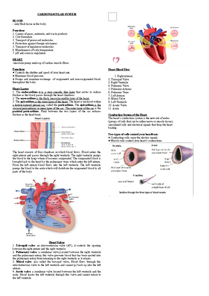 Blood Vessels AND Circulation - BLOOD VESSELS AND CIRCULATION FUNCTIONS ...