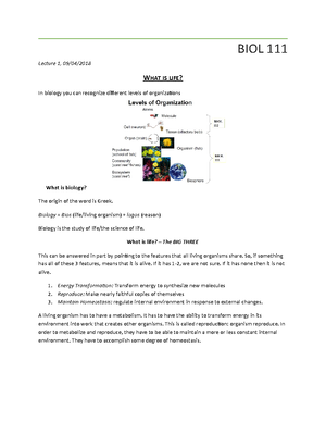 BIOL111 Midterm 2020 - BIOL111 MIDTERM EXAM (20% Of Final Grade ...