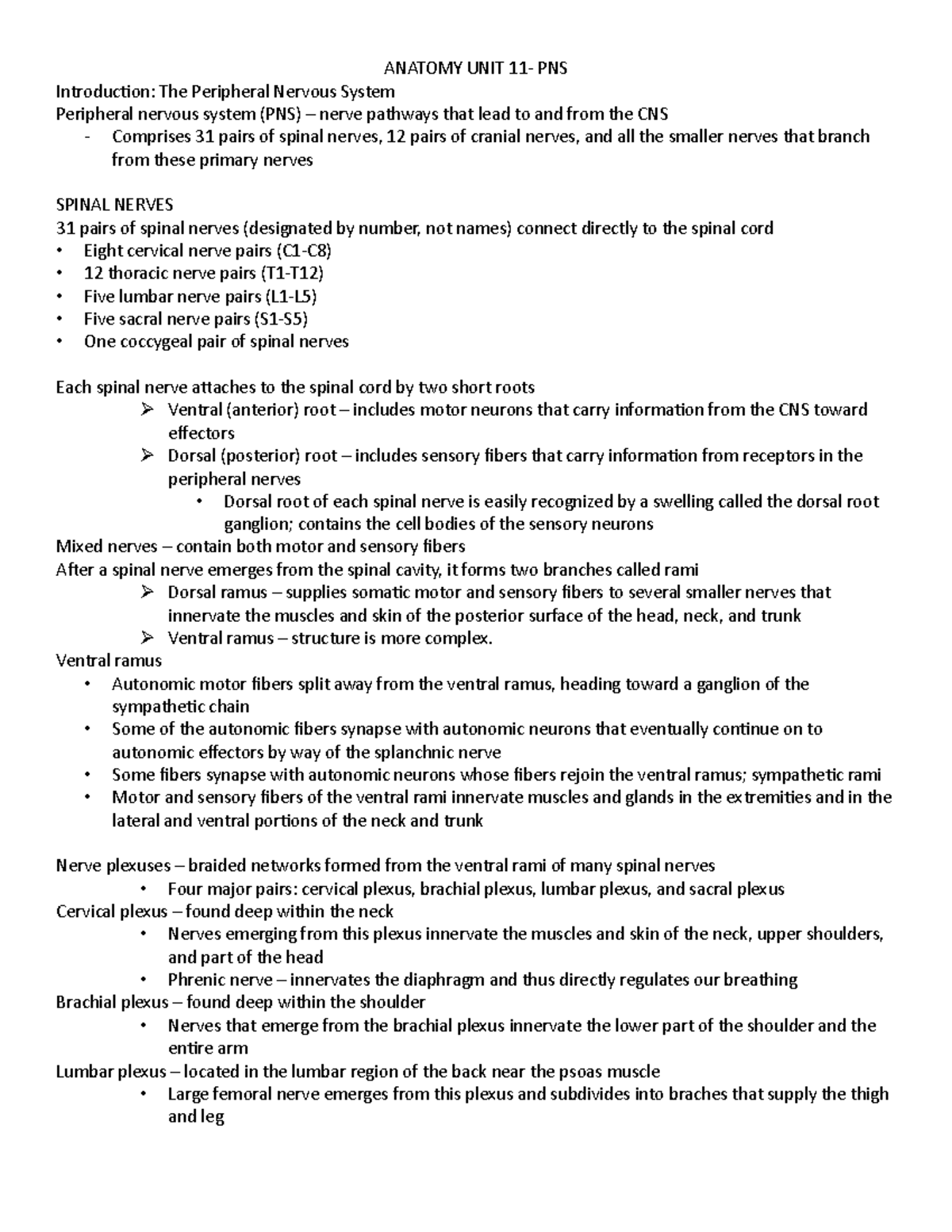 Anatomy UNIT 11- Nervous System - ANATOMY UNIT 11- PNS Introduction ...