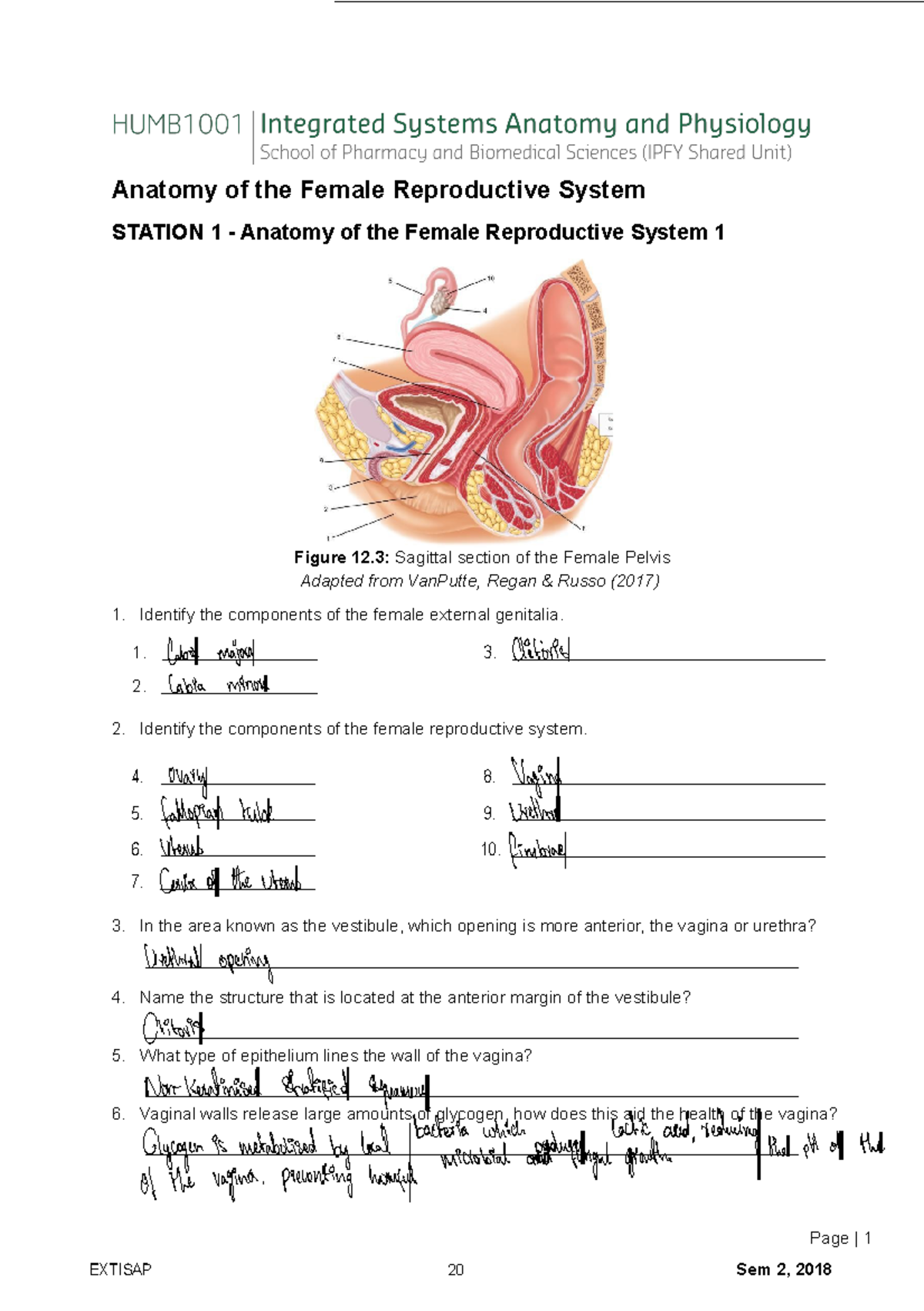 Module 12 lab HUMB1001 - Anatomy of the Female Reproductive System ...