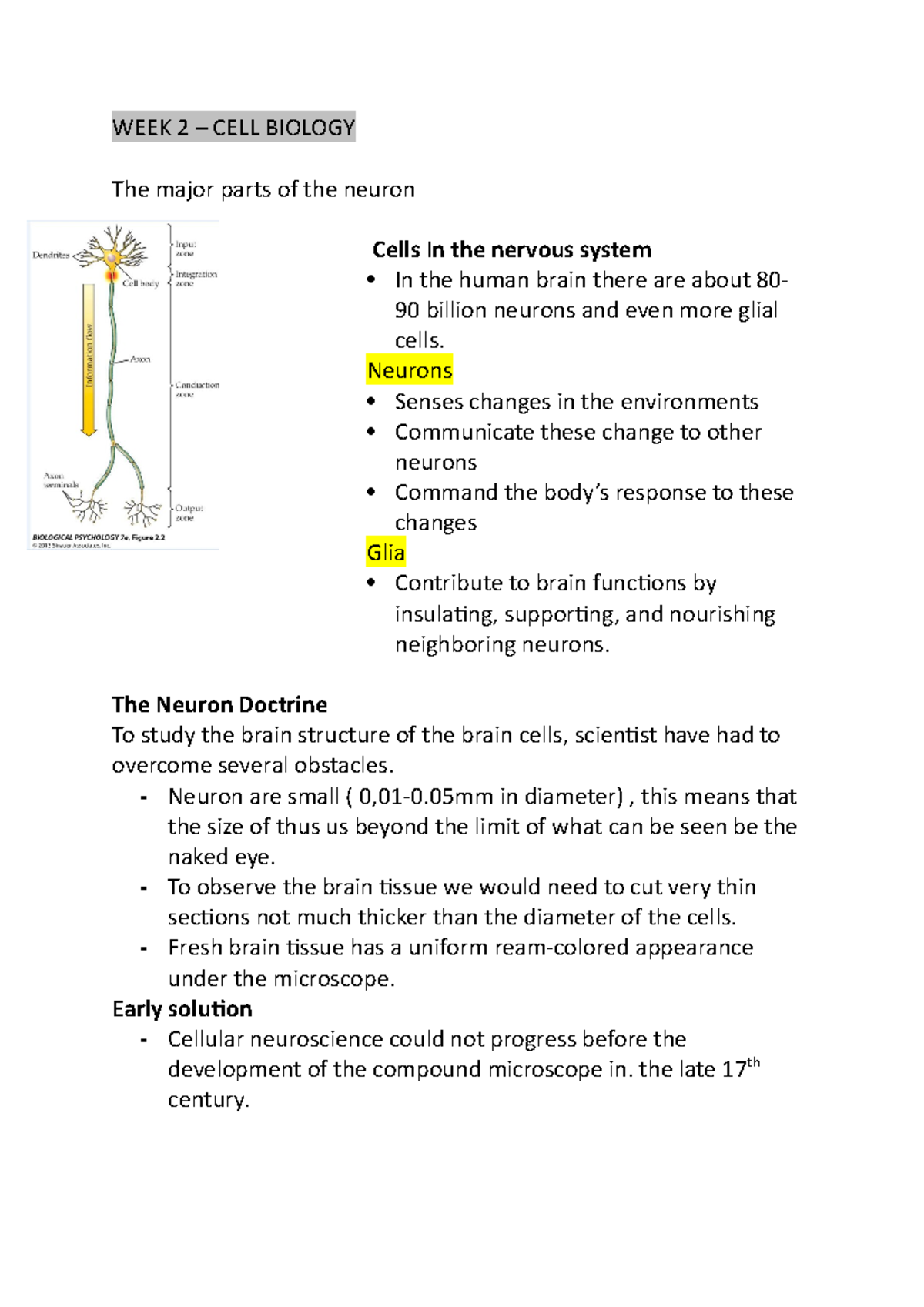 Neuroanatomy - SUMMARIES TOPIC 1-4 - WEEK 2 – CELL BIOLOGY The major ...