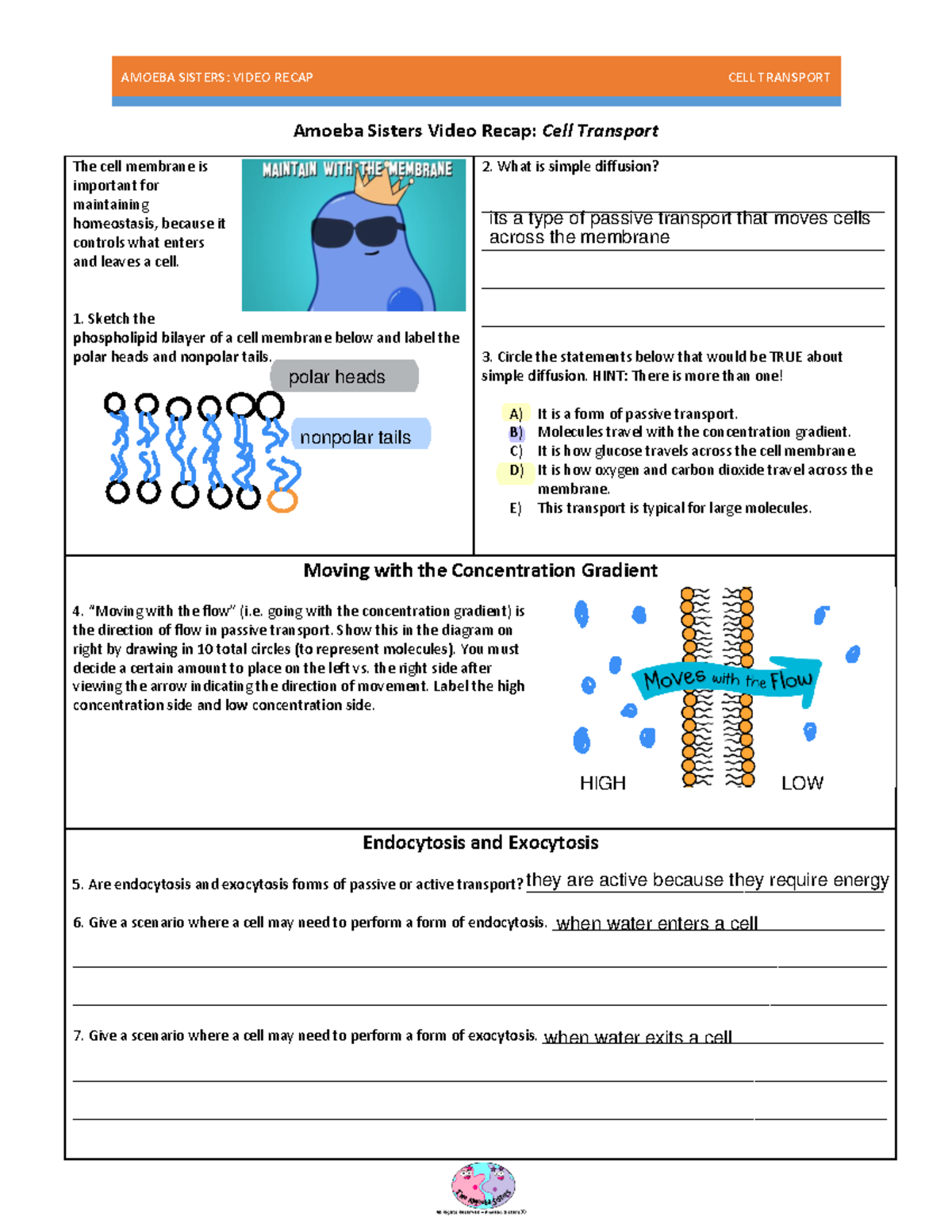 Answer Key Amoeba Sisters Video Recap Cell Transport Worksheet Answers