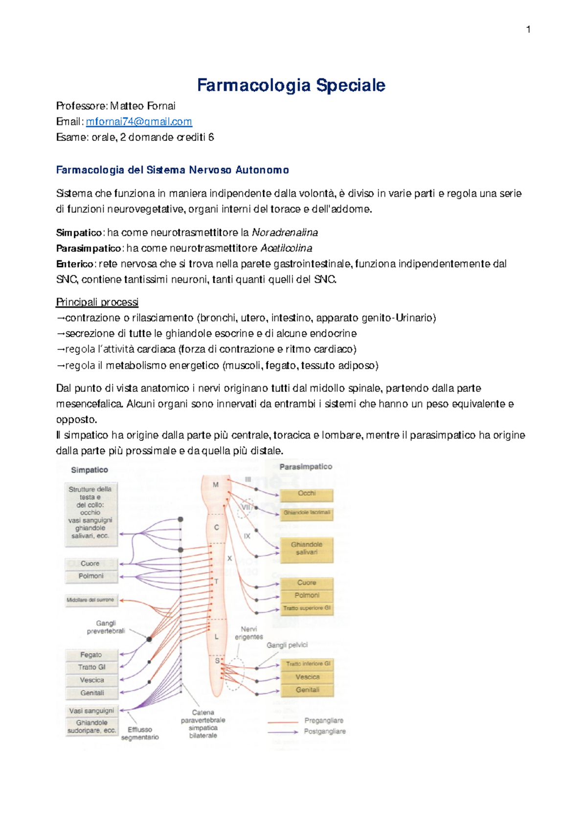 blocco urinario prostata e stressed out