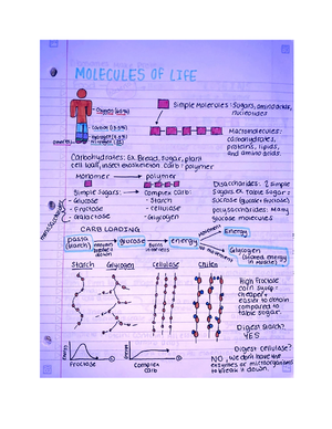 WVU Bio 102 Exam 3 - WVU Bio 102 With Professor Elizabeth Thomas. Notes ...