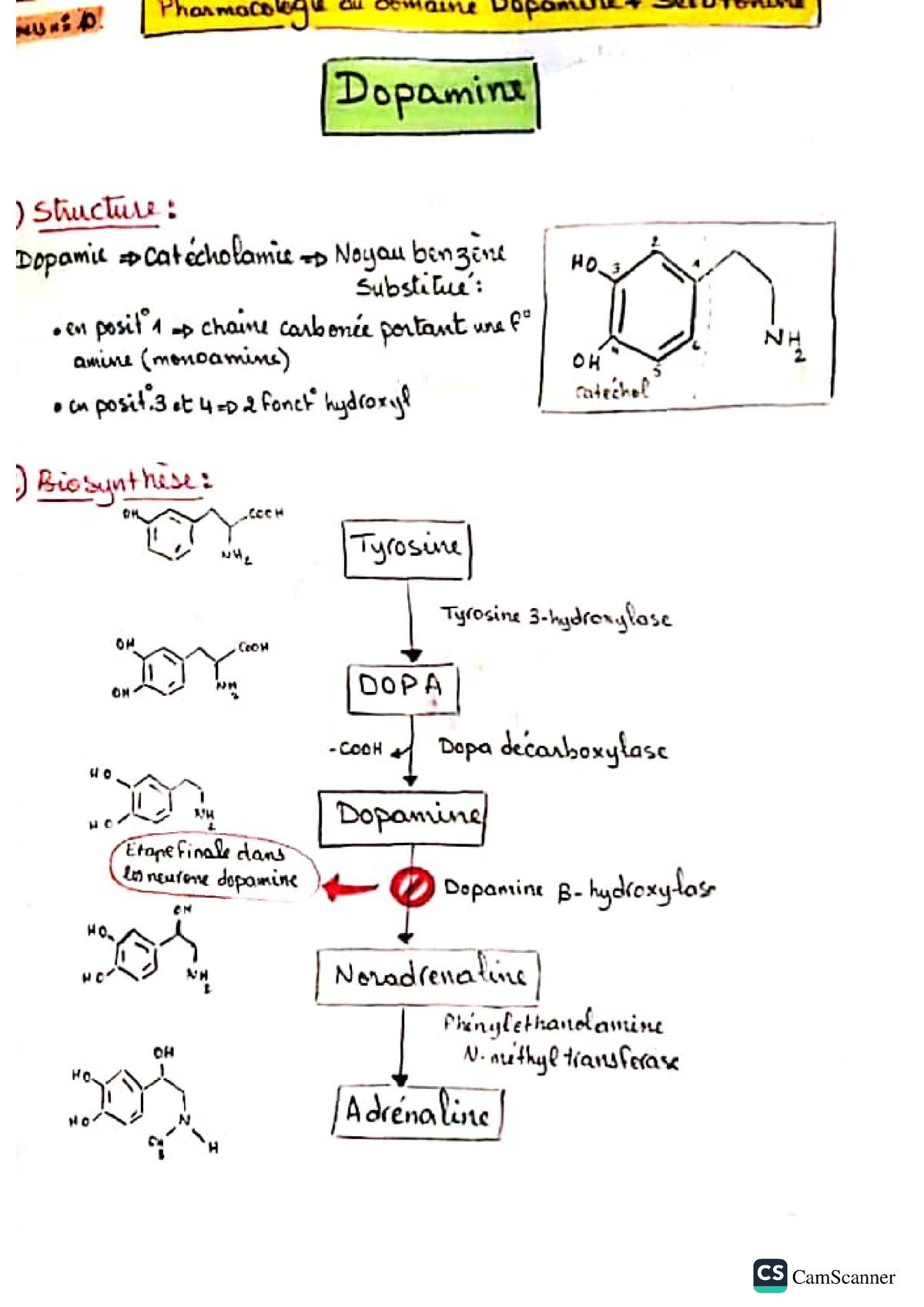 Pharmacologie 1 - Studocu