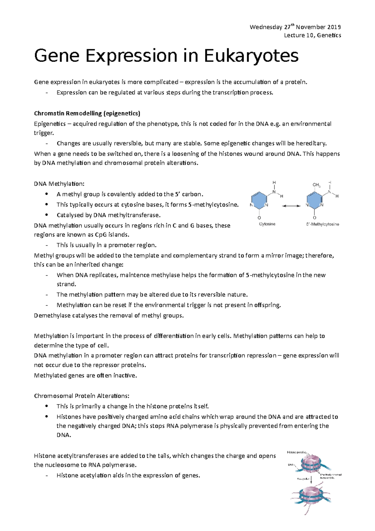 Week 10 - Gene Expression in Eukaryotes - Wednesday 27th November 2019 ...