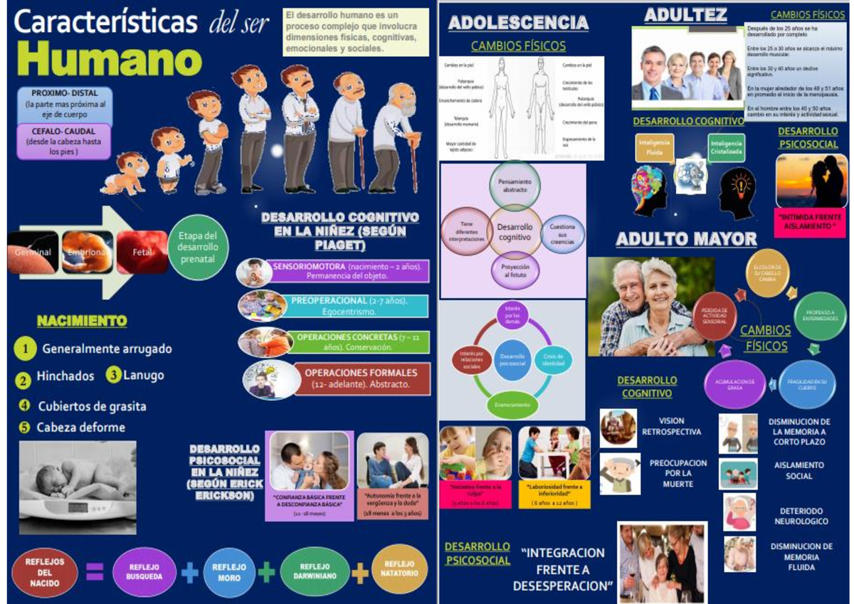 CARACTERISTICAS DEL SER HUMANO - psicologia para la ccss - Studocu