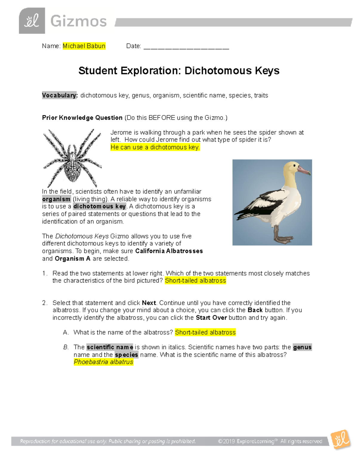 Gizmo Dichotomous Key - Name: Michael Babun Date ...