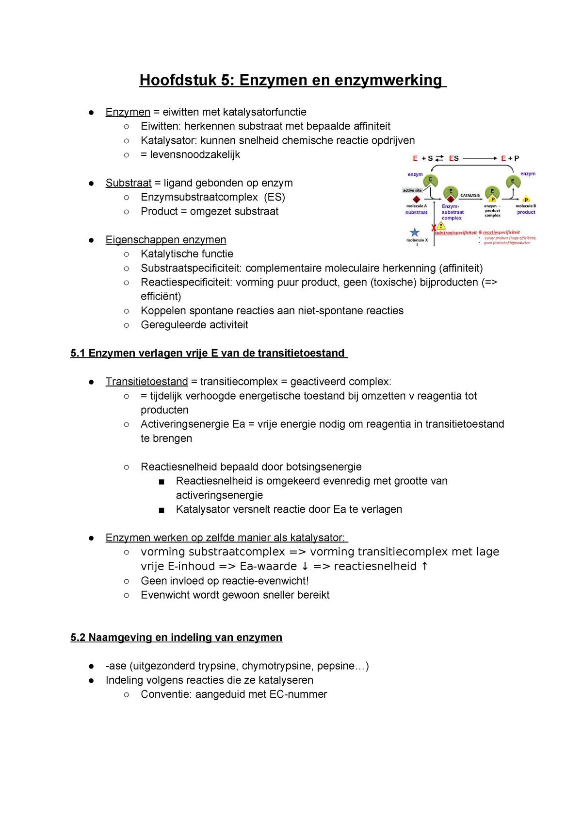 Hoofdstuk 5 Enzymen En Enzymwerking - Hoofdstuk 5: Enzymen En ...