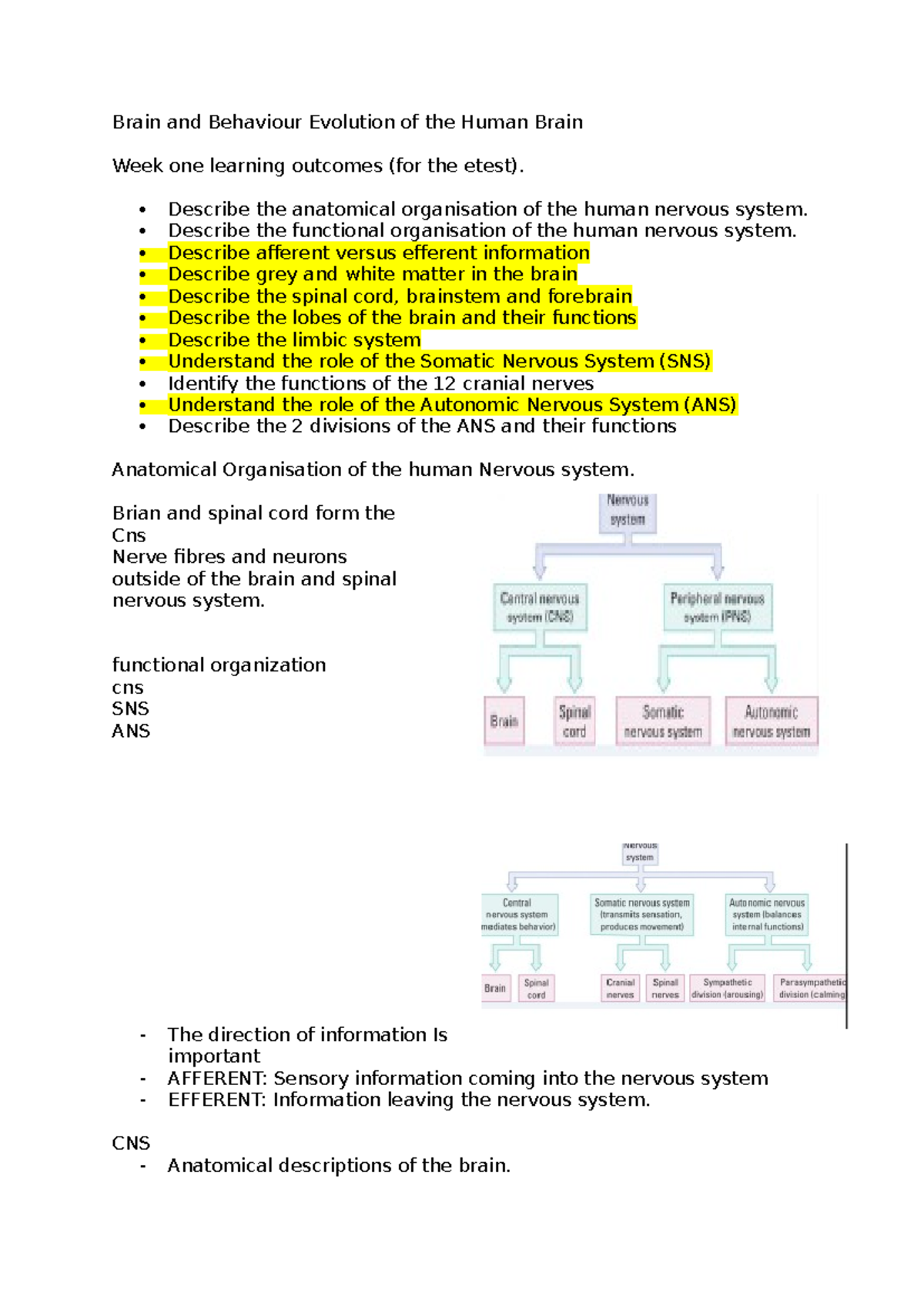 Biol lecture notes - Brain and Behaviour Evolution of the Human Brain ...