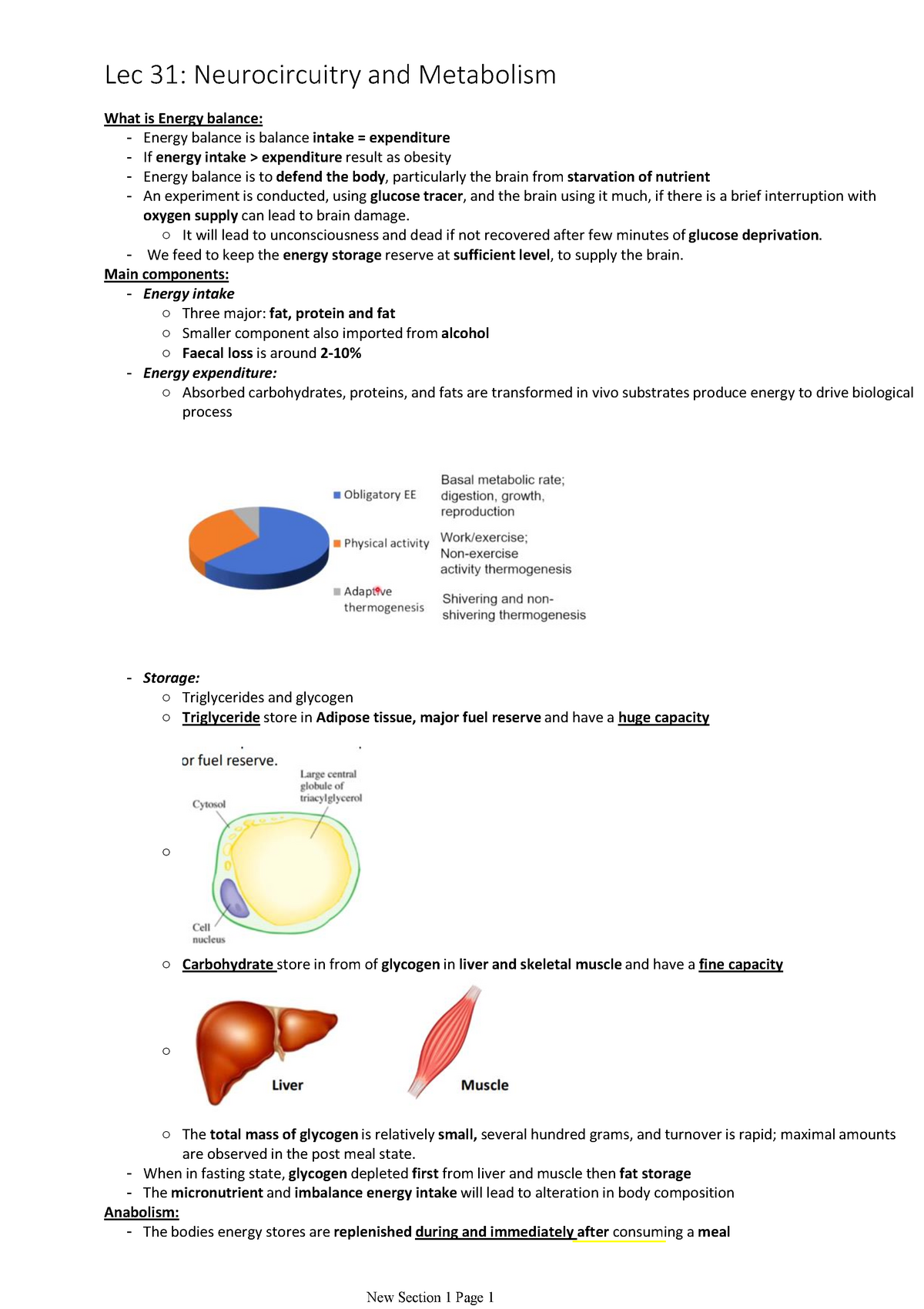 H1 Lecture 31 Notes - Warning: TT: Undefined Function: 32 Warning: TT ...