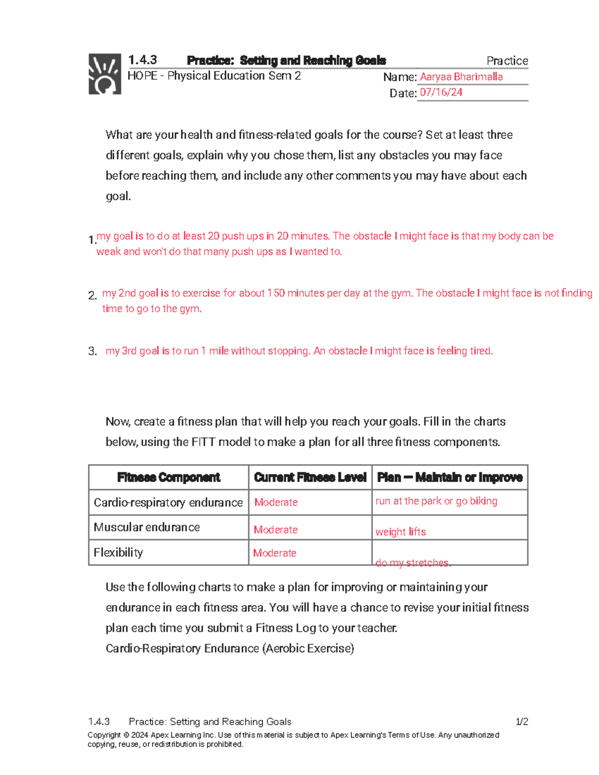 Kami Export - 1.4.3 Practice - Setting and Reaching Goals (Practice ...