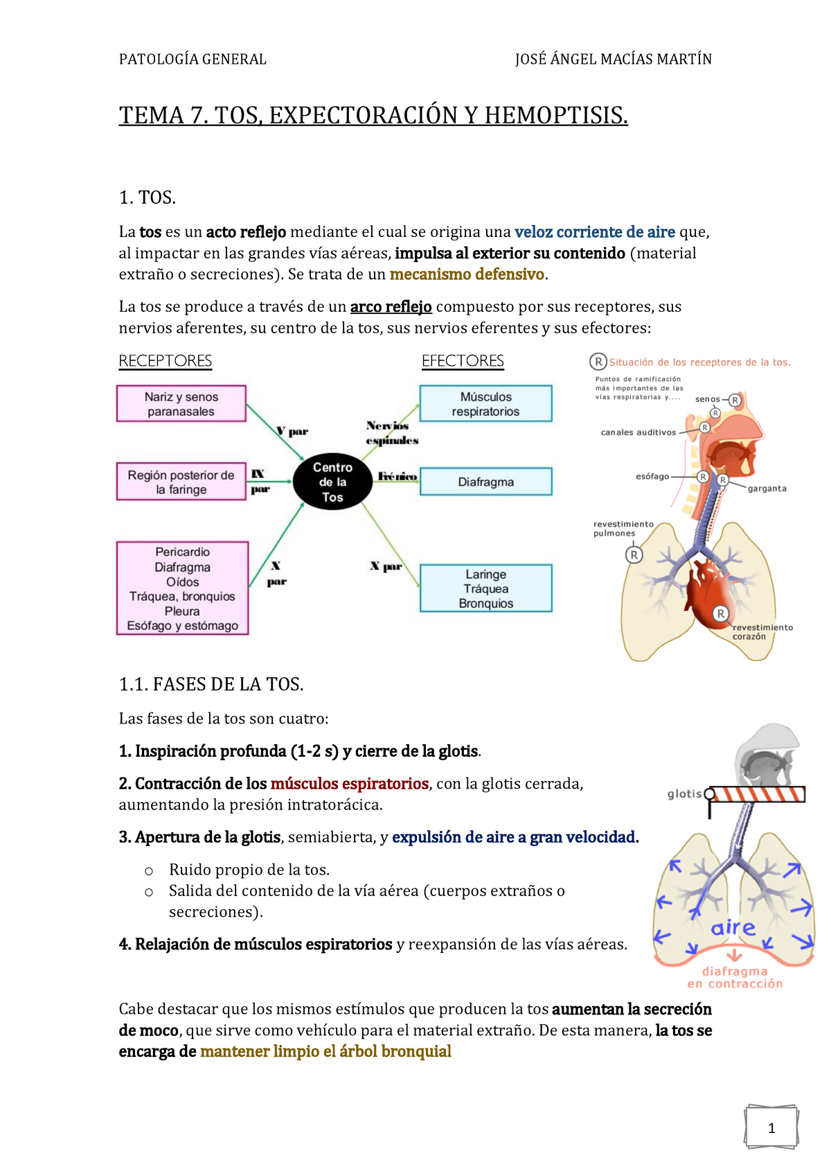 TEMA 7. Tos, Expectoración Y Hemoptisis - Warning: TT: Undefined ...