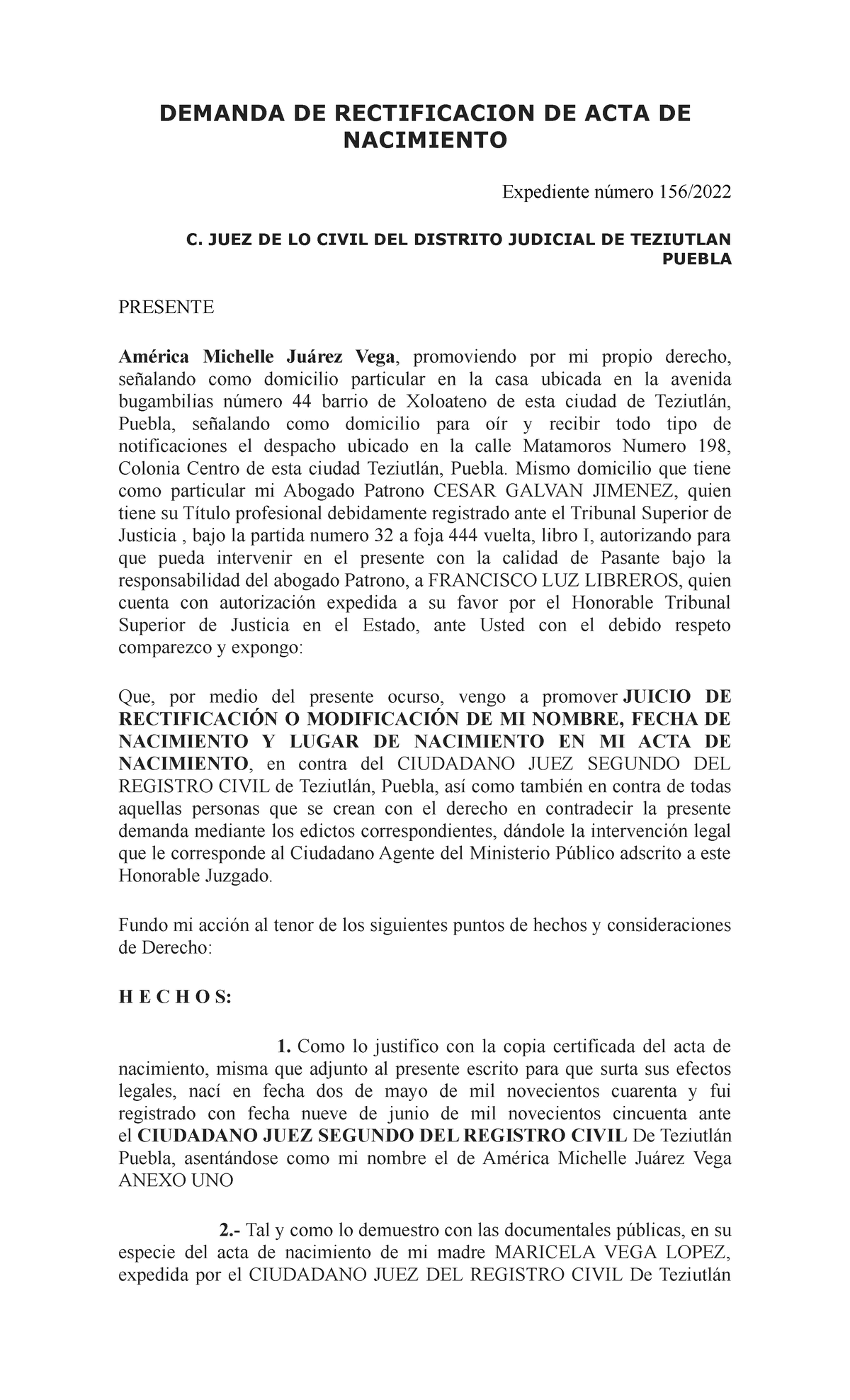 Modelo De Demanda Rectificacion De Acta De Defuncion Doc Document Hot