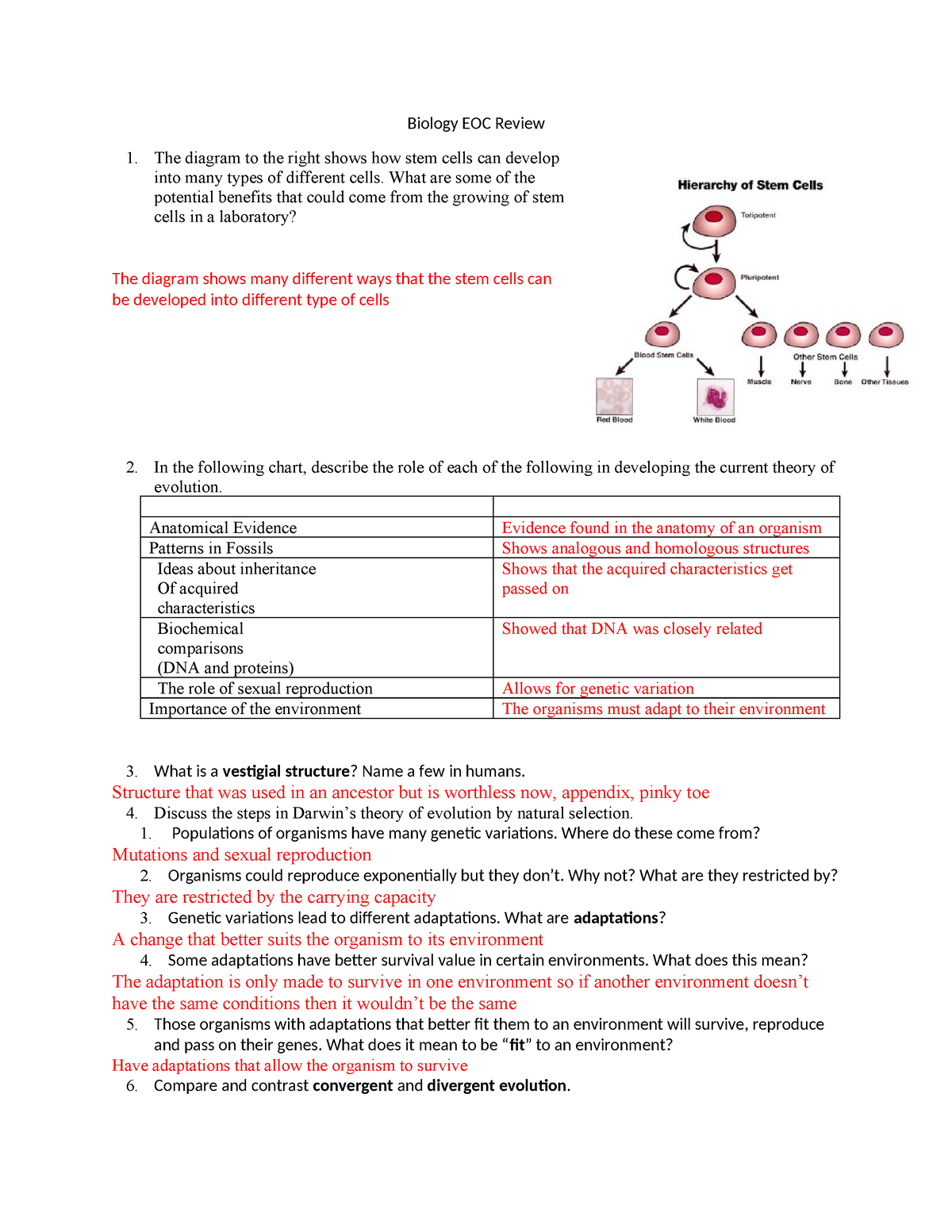 Biology EOC Review-3 - Biology EOC Review The Diagram To The Right ...