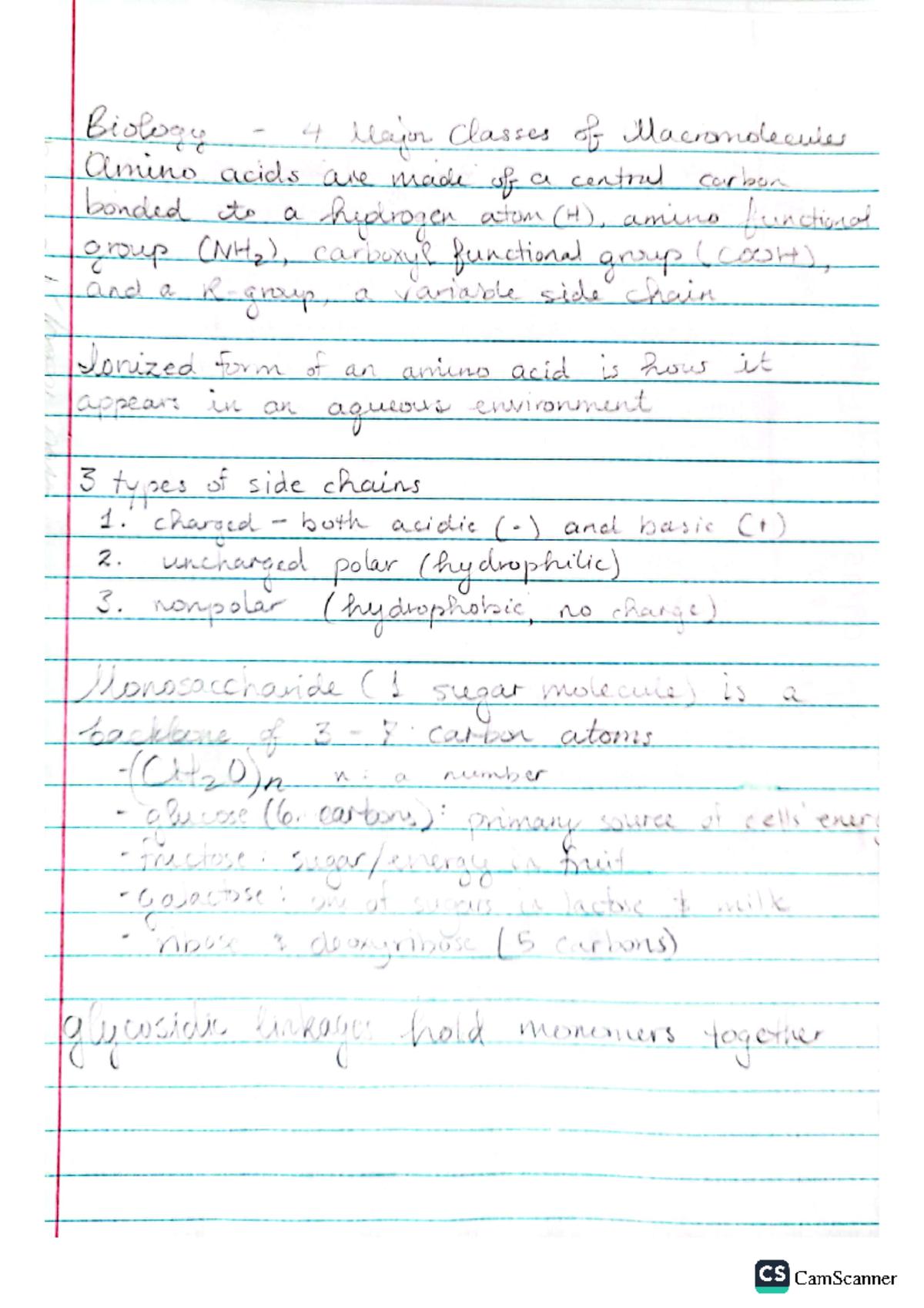 Biology - Macromolecules - BIO 1801 - Studocu