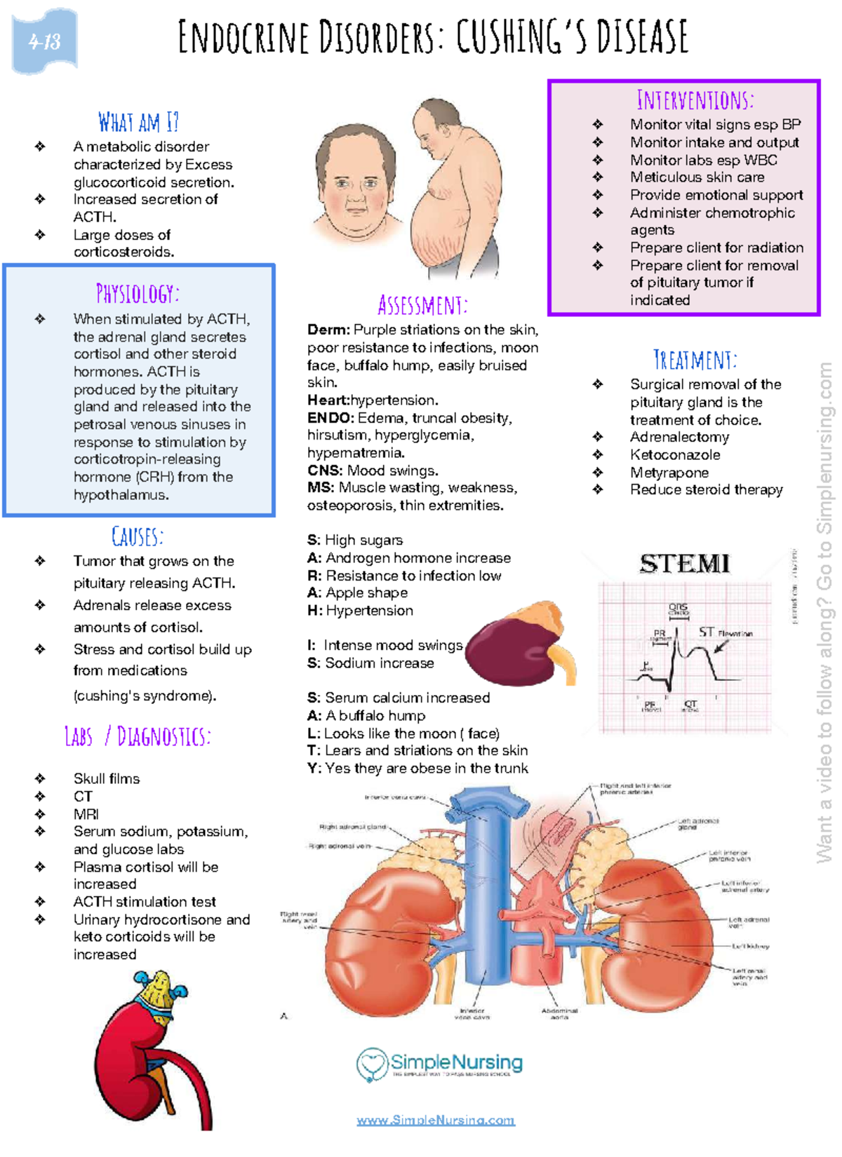 Endocrine handout Cushing s Disease - Interventions: Monitor vital ...