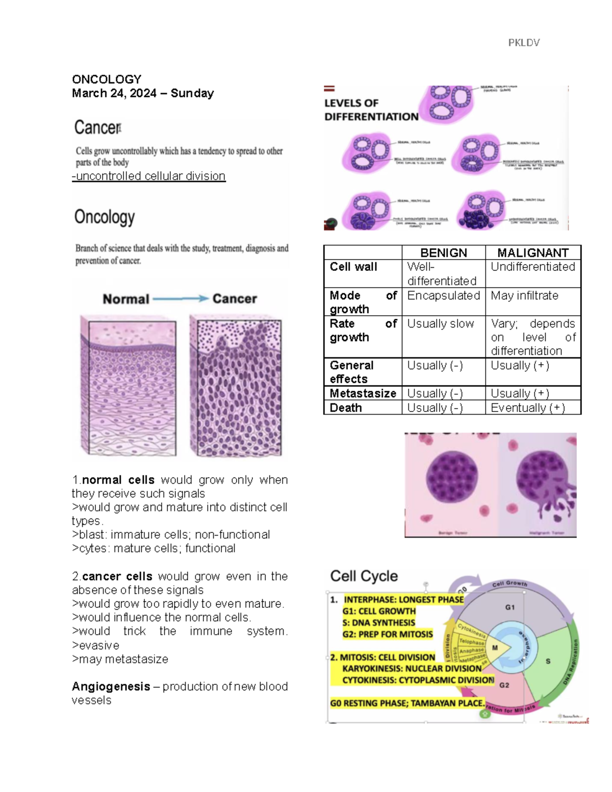 Oncology- Notes - ONCOLOGY March 24, 2024 – Sunday uncontrolled ...