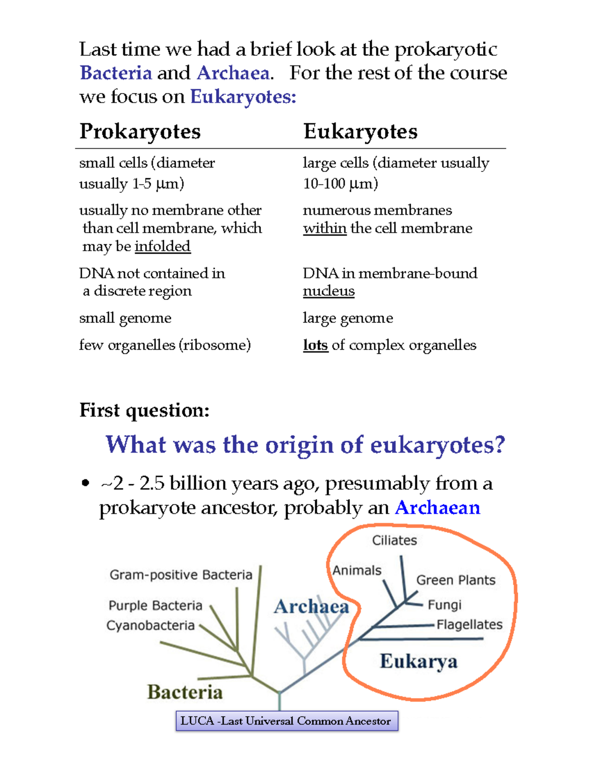 Lec 3 Bio - Lecture notes 3 - Last time we had a brief look at the ...