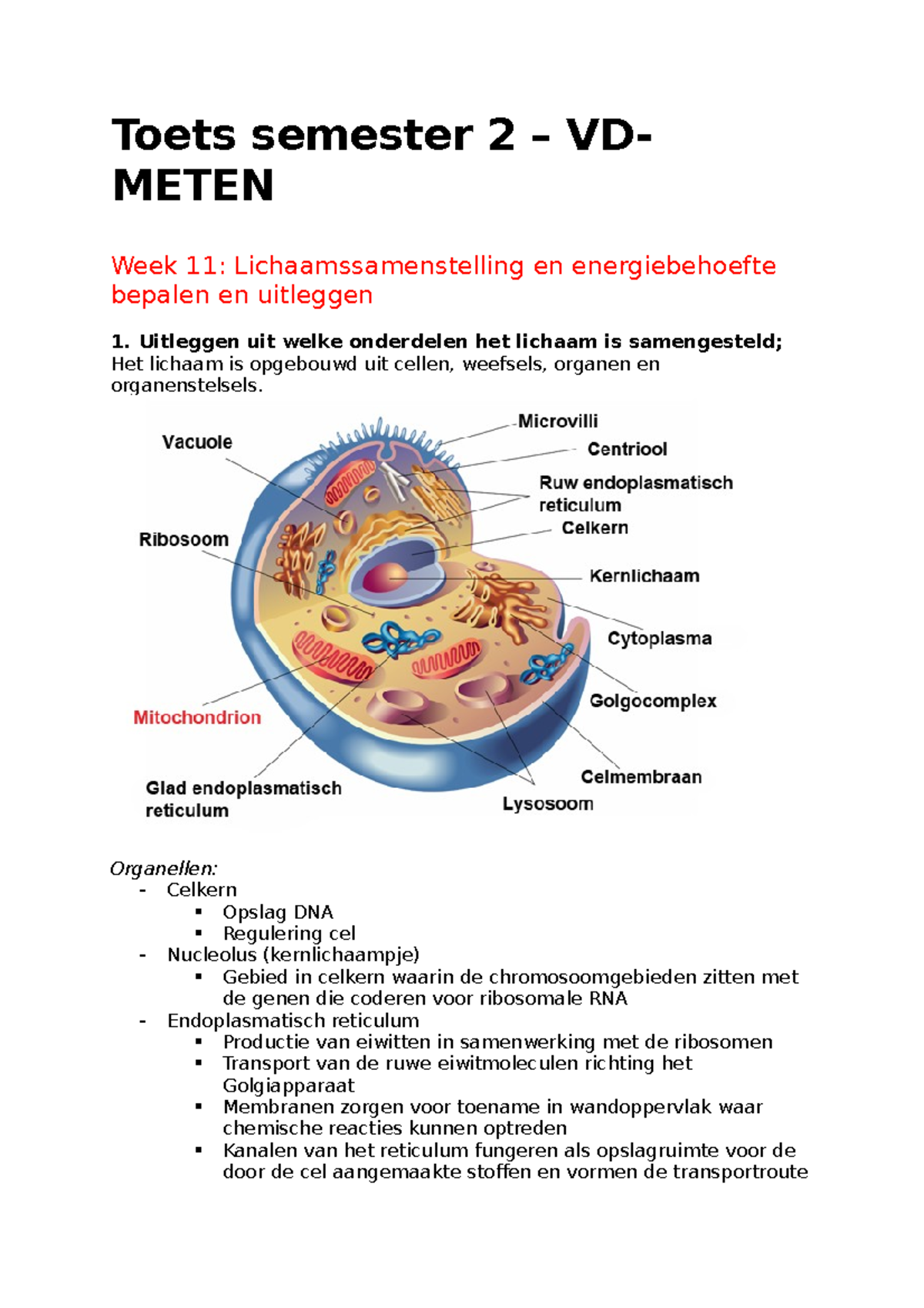 Samenvatting Semester 2 (wk 11-18) - Voeding En Dietetiek - HHS ...